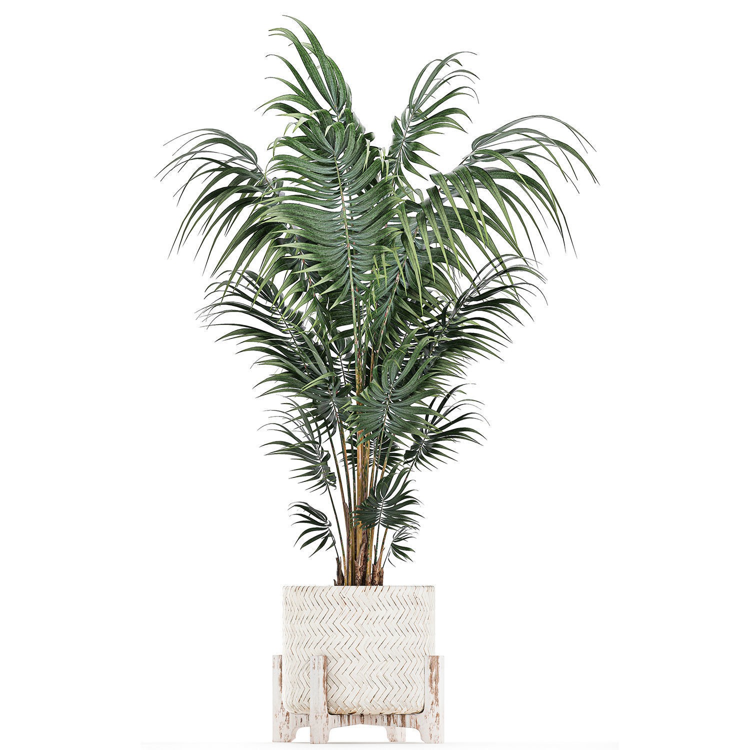 Houseplants in Rattan Basket - Game-Ready 3D Model