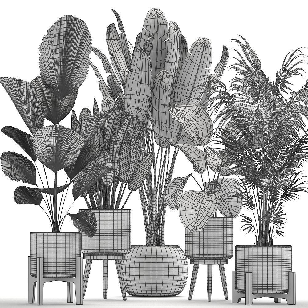 Houseplants in Rattan Basket - Game-Ready 3D Model - View 11
