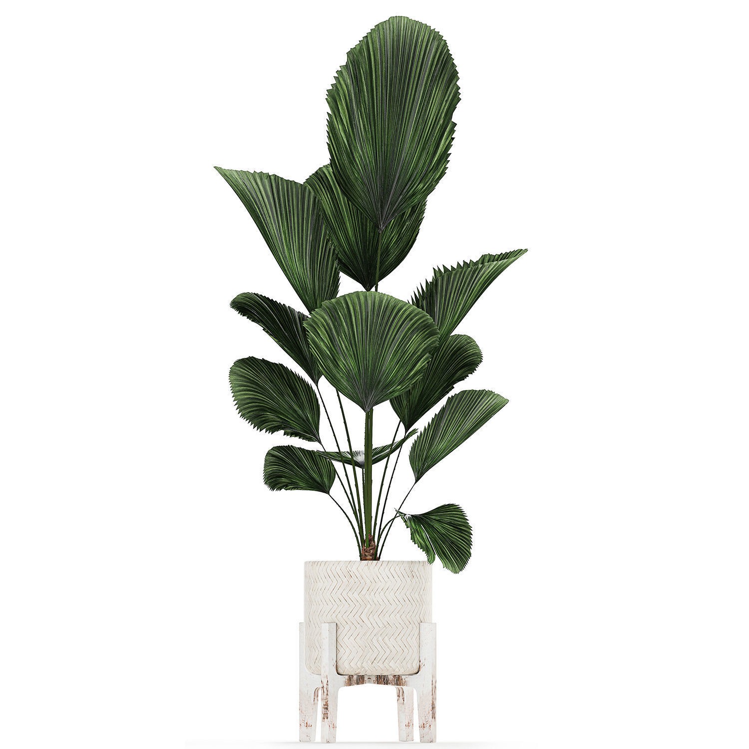 Houseplants in Rattan Basket - Game-Ready 3D Model - View 12