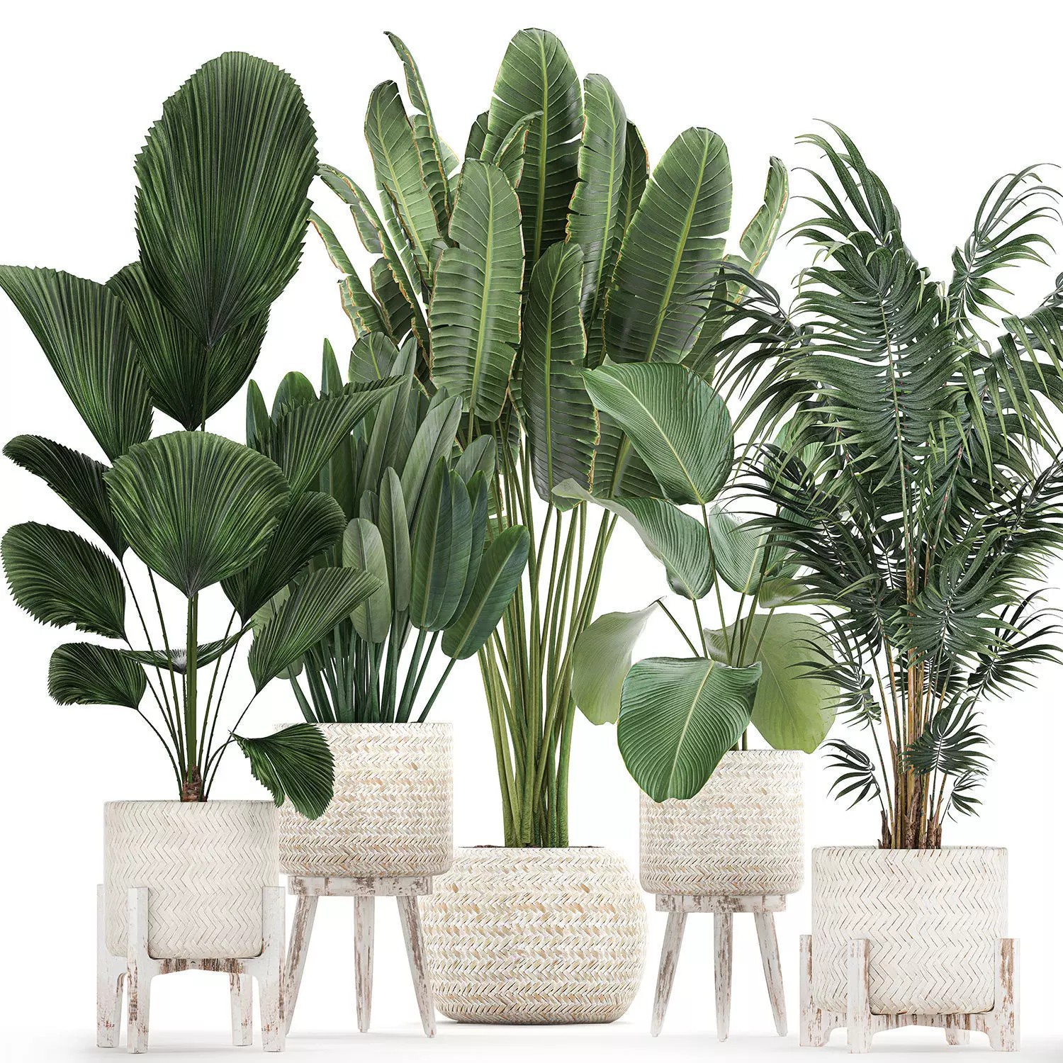 Houseplants in Rattan Basket - Game-Ready 3D Model - View 2