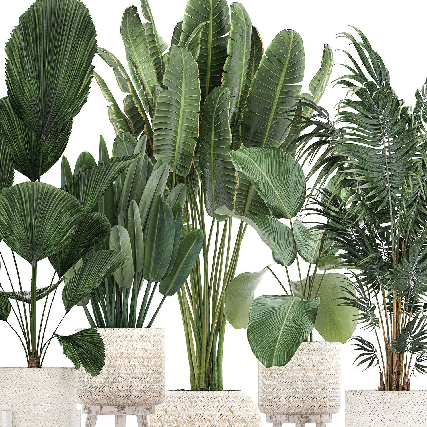 Houseplants in Rattan Basket - Game-Ready 3D Model - View 4