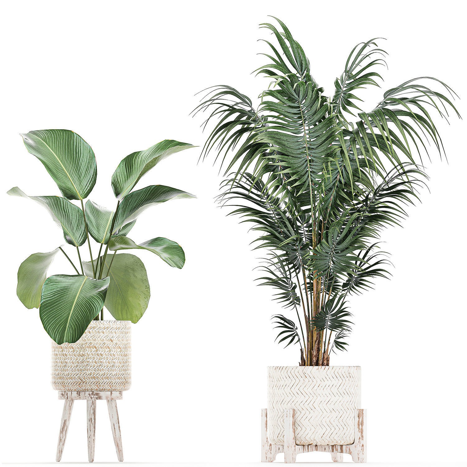 Houseplants in Rattan Basket - Game-Ready 3D Model - View 8