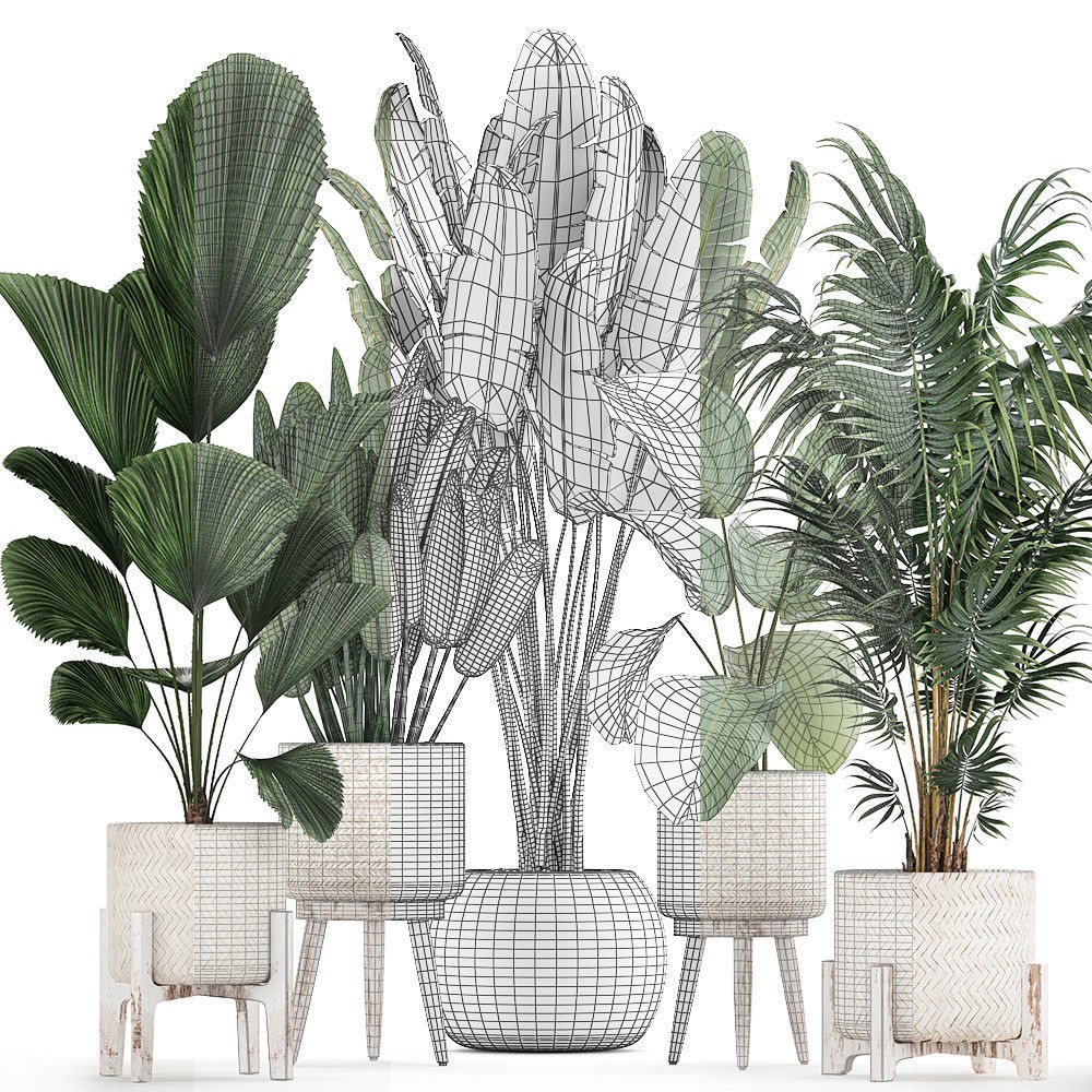 Houseplants in Rattan Basket - Game-Ready 3D Model - View 9