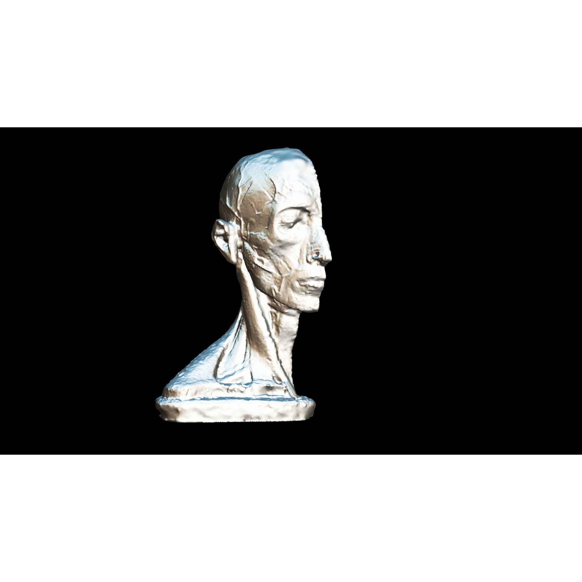 Human Head Muscle - Low-Poly Game-Ready 3D Model - View 10