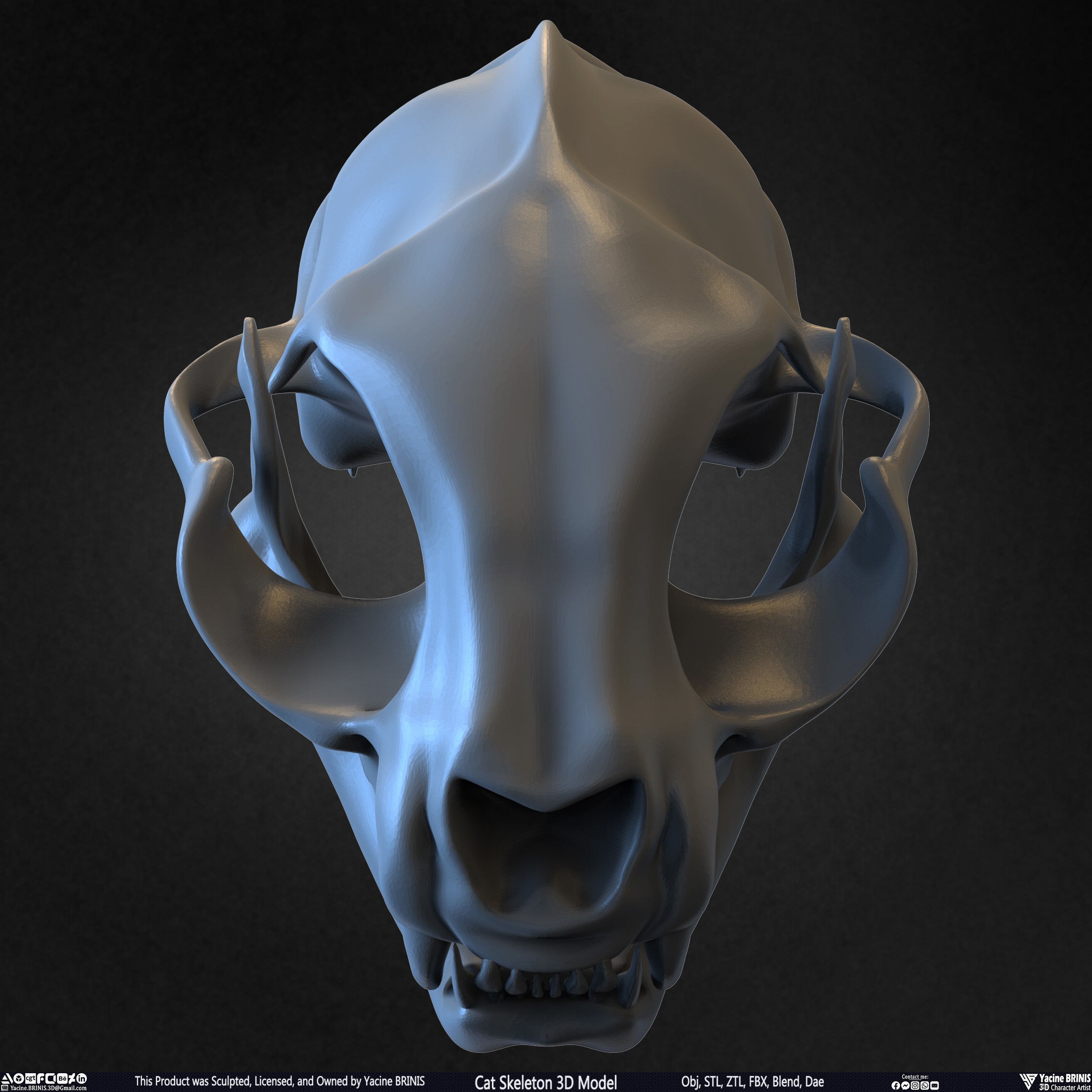 Cat Skeleton - Low-Poly Game-Ready 3D Model - View 36