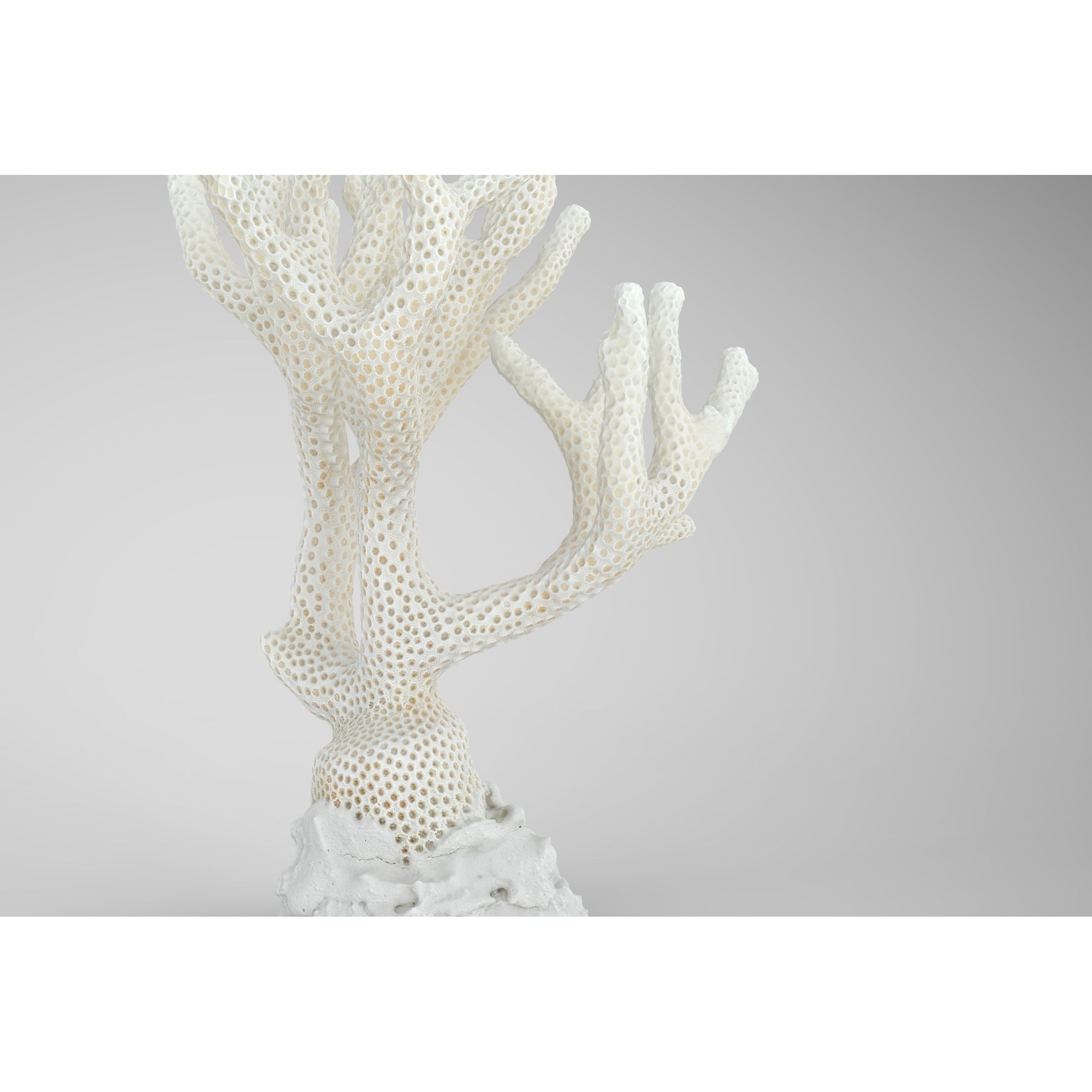 Coral - Low-Poly Game-Ready 3D Model - View 3