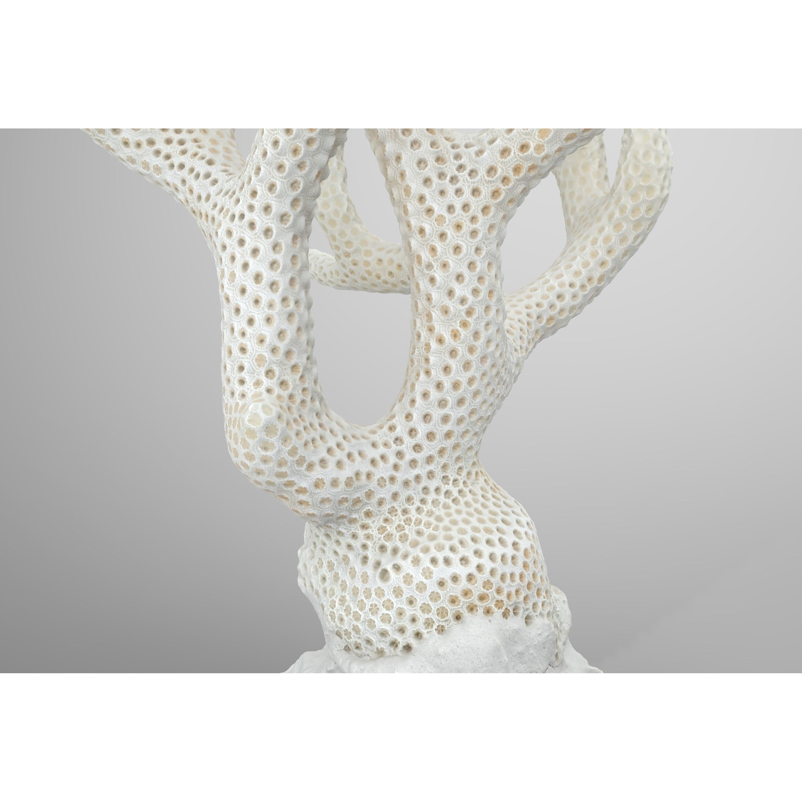 Coral - Low-Poly Game-Ready 3D Model - View 4