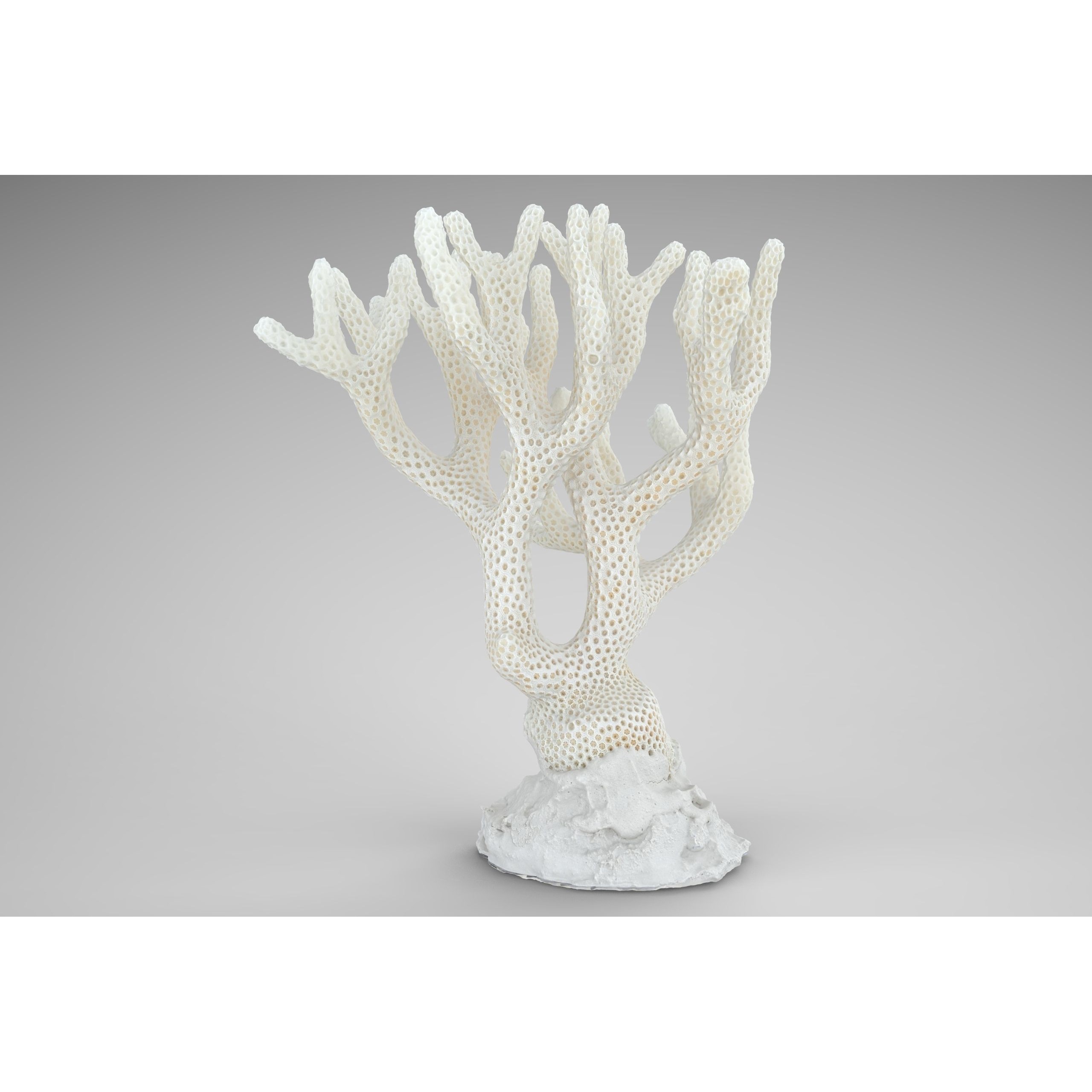 Coral - Low-Poly Game-Ready 3D Model - View 6