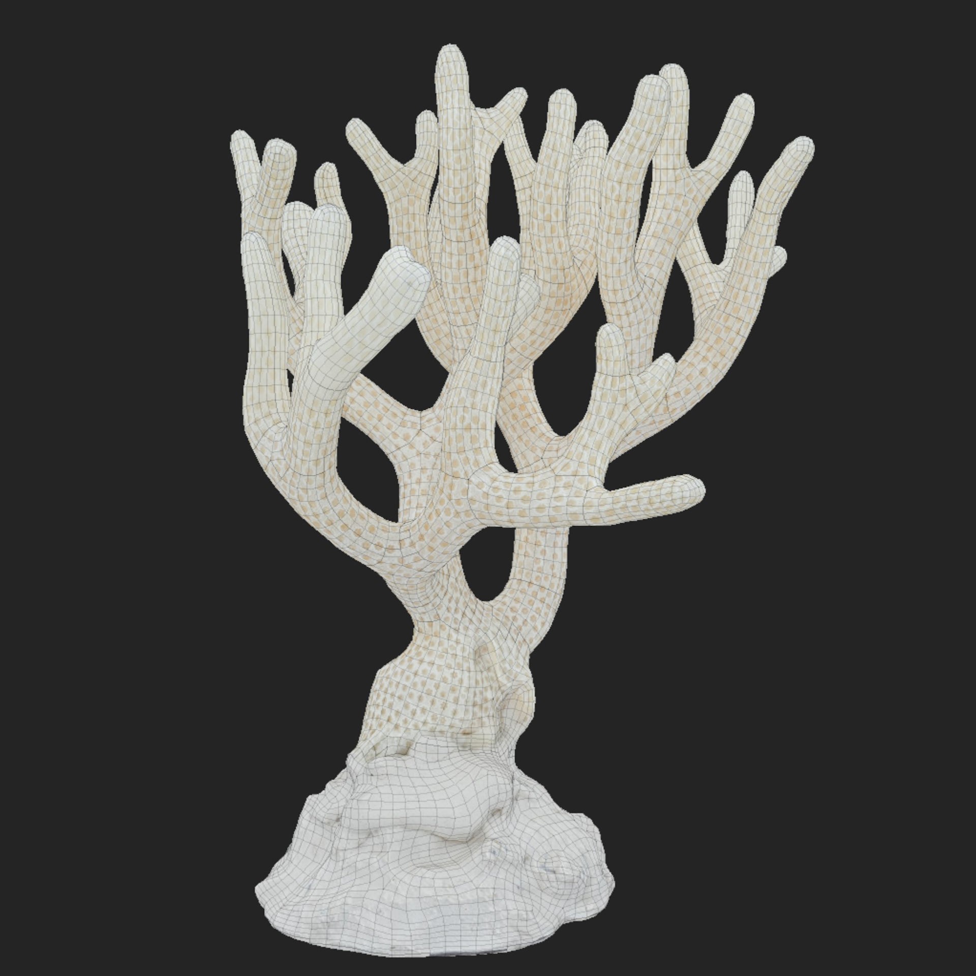 Coral - Low-Poly Game-Ready 3D Model - View 8