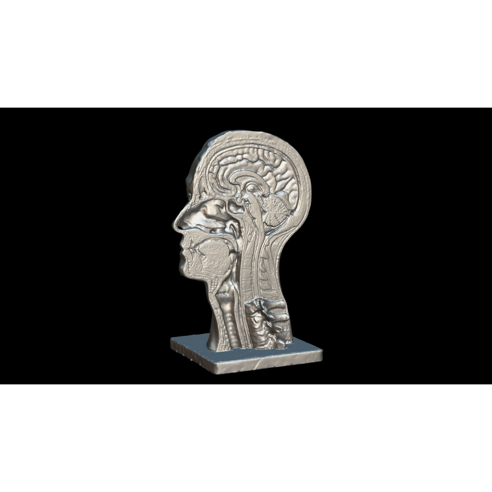 Human Head - Low-Poly Game-Ready 3D Model - View 10