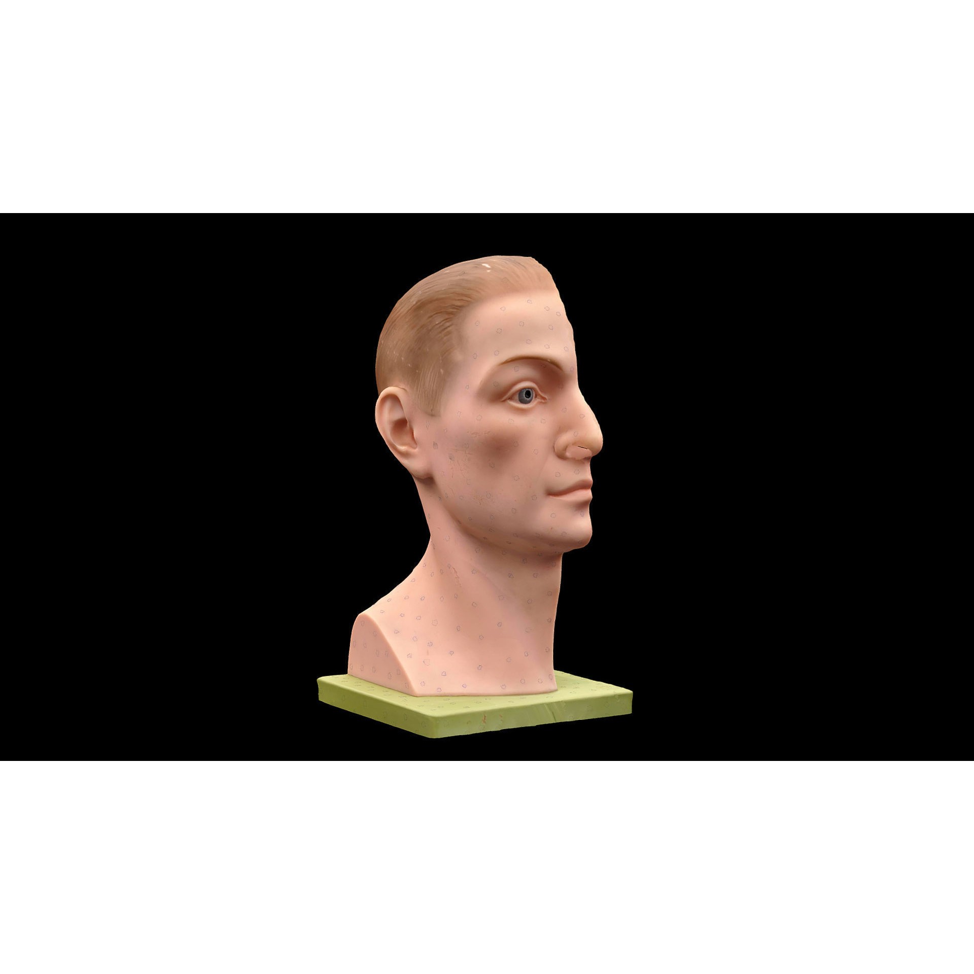 Human Head - Low-Poly Game-Ready 3D Model - View 6