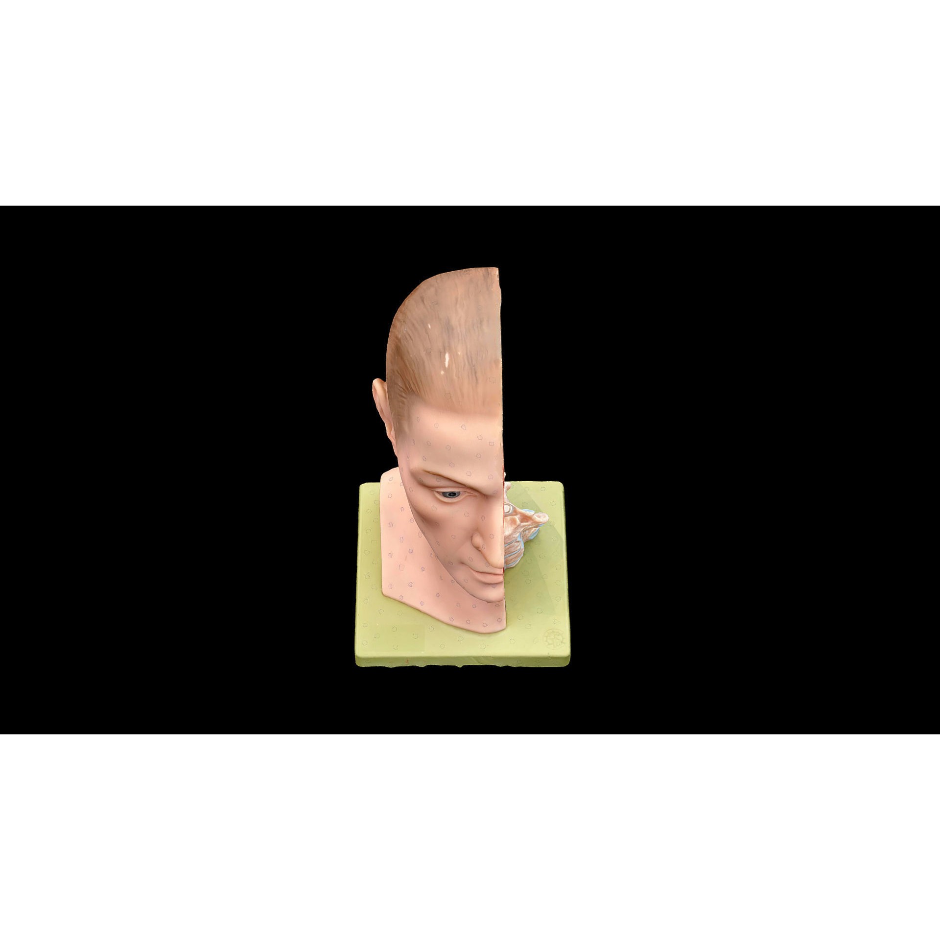 Human Head - Low-Poly Game-Ready 3D Model - View 7