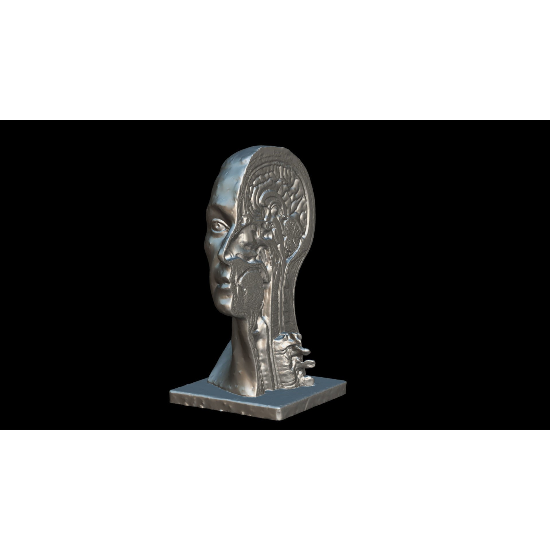 Human Head - Low-Poly Game-Ready 3D Model - View 9