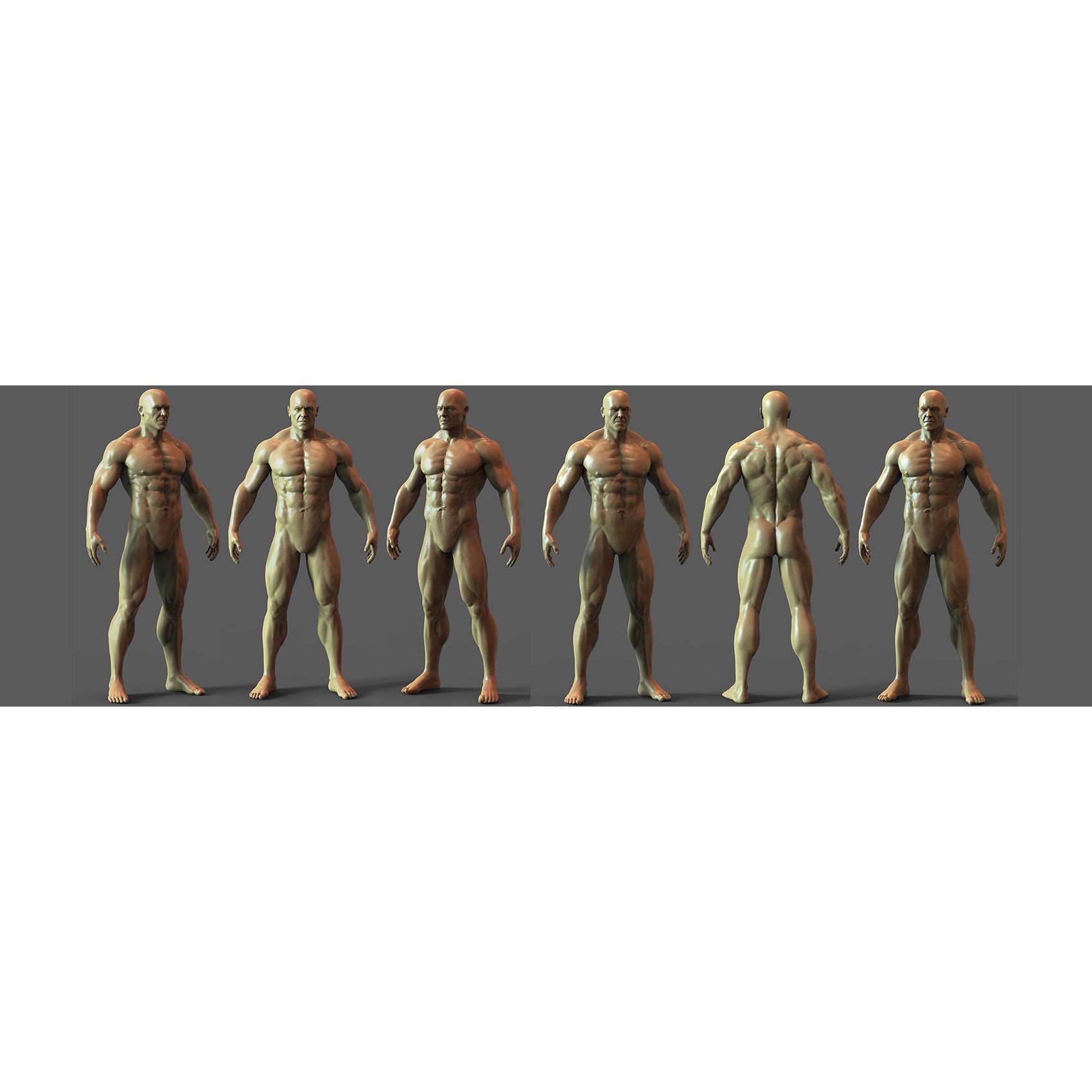 Realistic Male Anatomy Basemesh - Low-Poly Game-Ready 3D Model