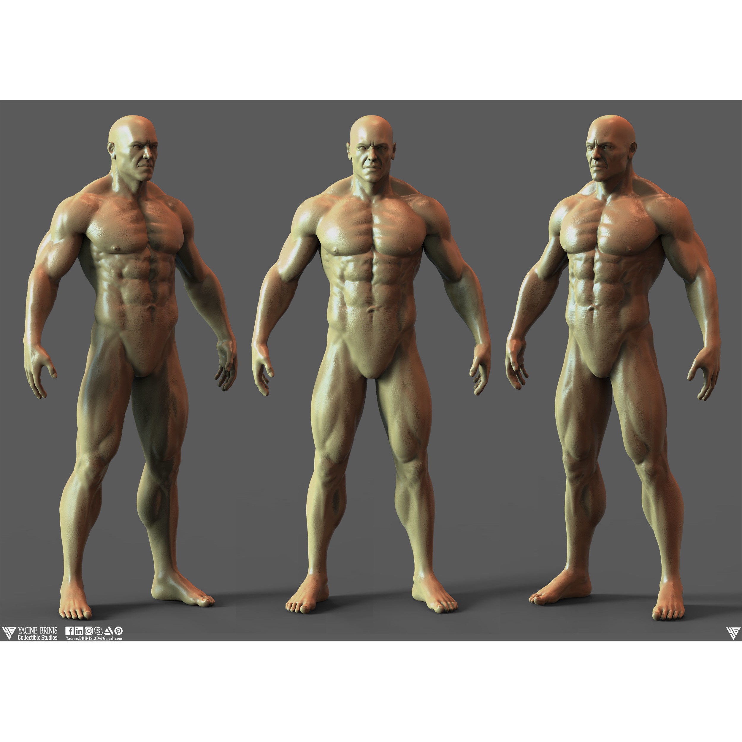 Realistic Male Anatomy Basemesh - Low-Poly Game-Ready 3D Model - View 3