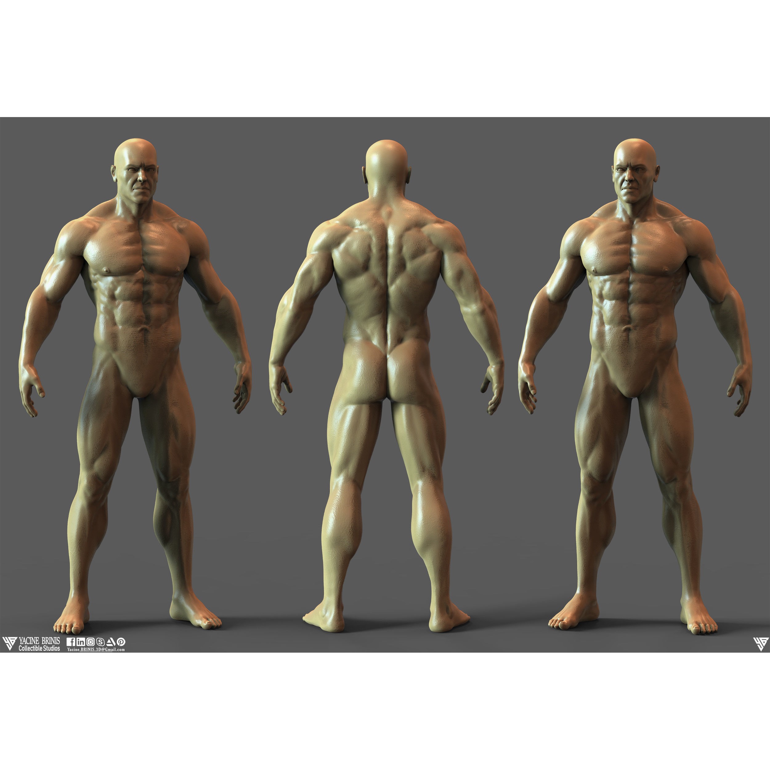 Realistic Male Anatomy Basemesh - Low-Poly Game-Ready 3D Model - View 4