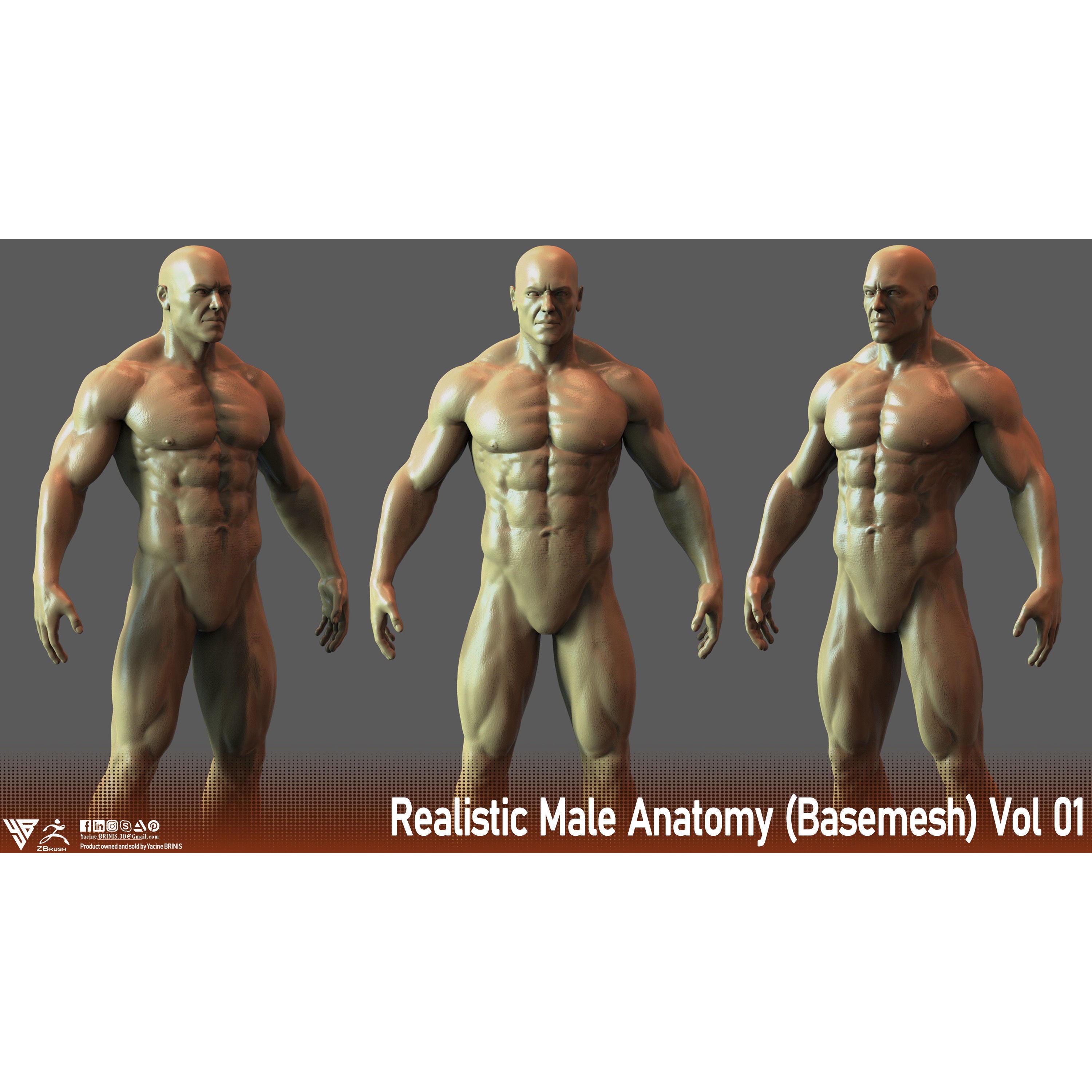 Realistic Male Anatomy Basemesh - Low-Poly Game-Ready 3D Model - View 8