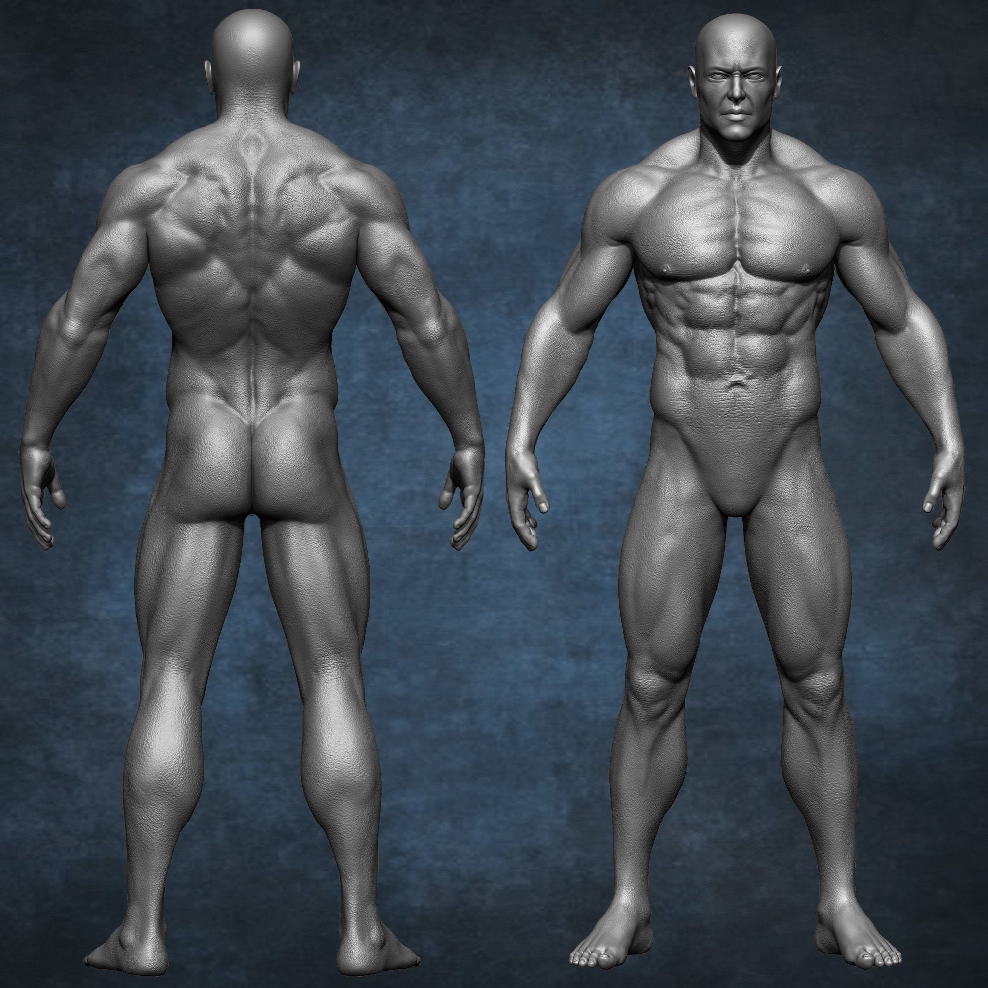 Realistic Male Anatomy Basemesh - Low-Poly Game-Ready 3D Model - View 9