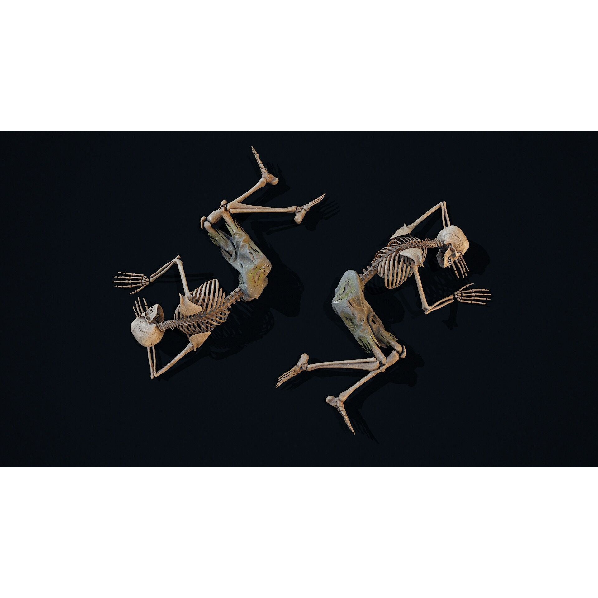 Skeleton Remains 6 - Low-Poly Game-Ready 3D Model - View 11