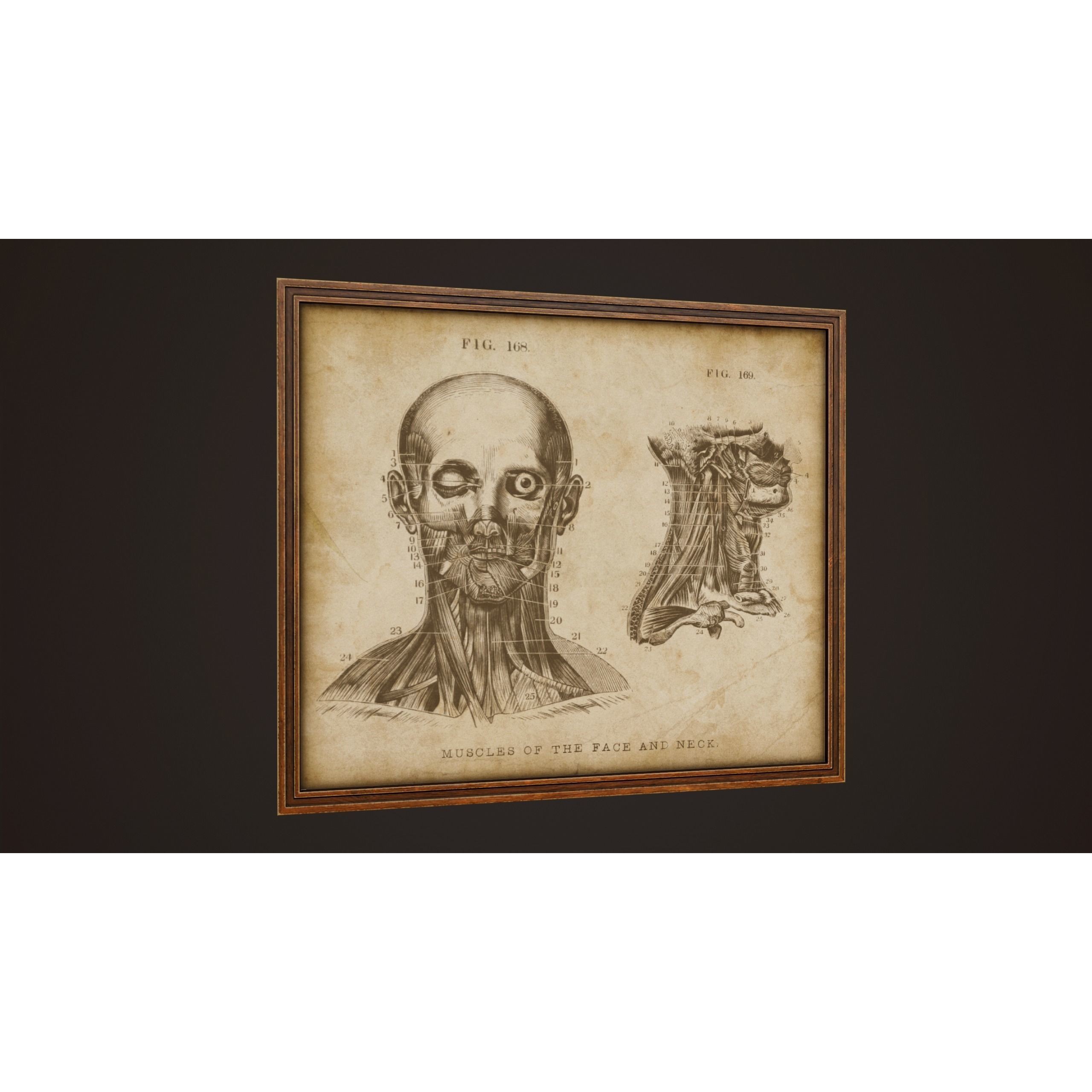 Medical Pictures - Low-Poly Game-Ready 3D Model - View 5