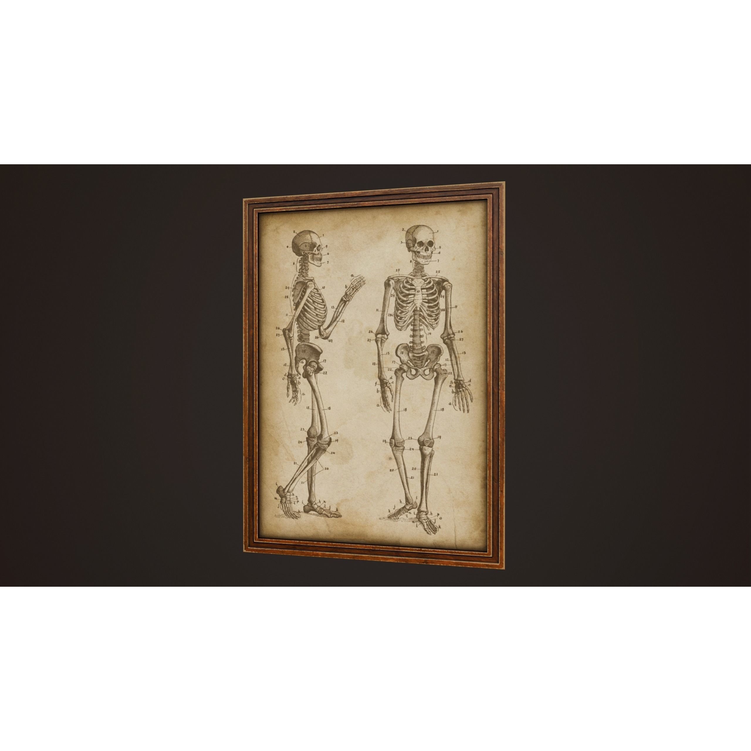 Medical Pictures - Low-Poly Game-Ready 3D Model - View 7
