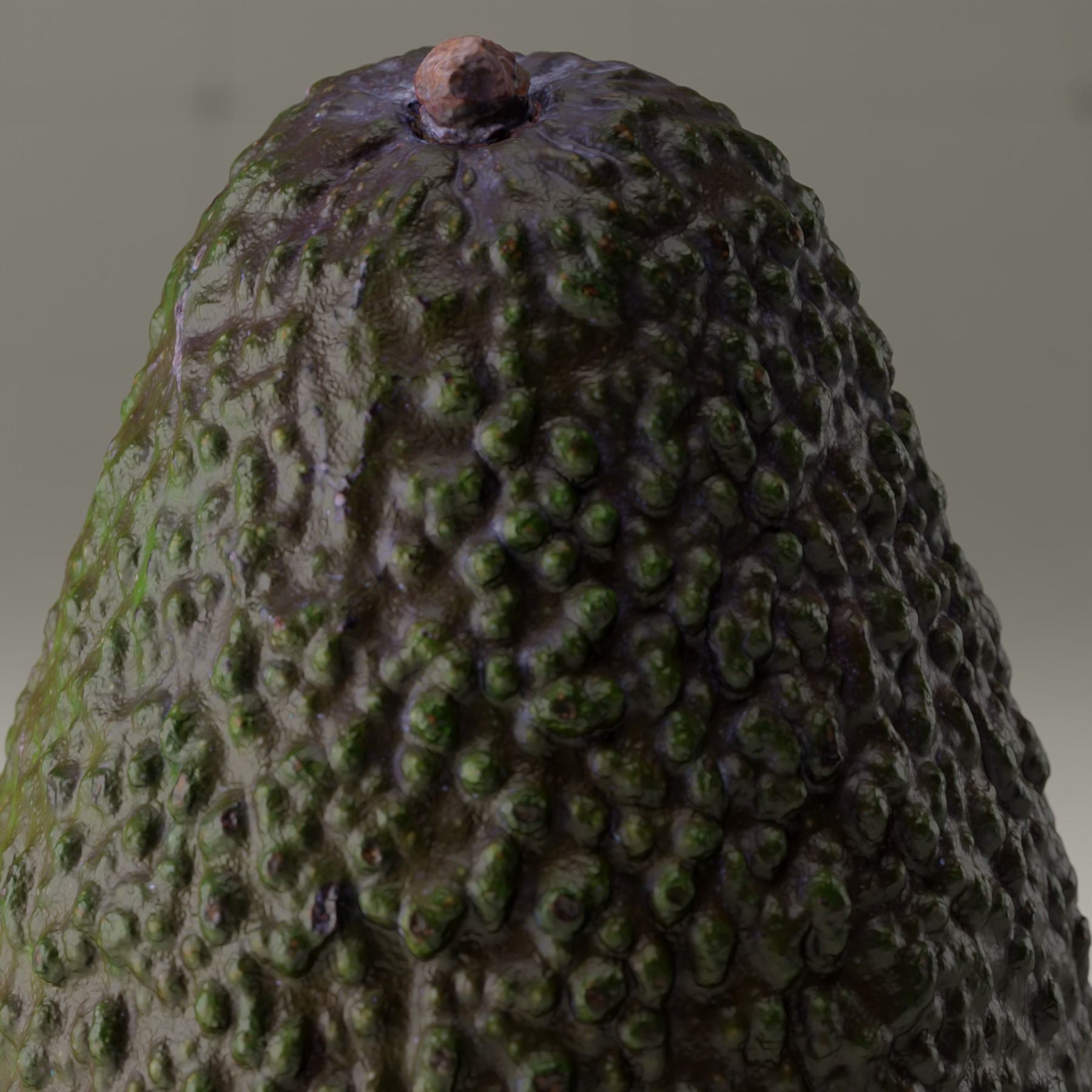 Detailed Avocado 3D Model – Photorealistic PBR Asset, Blender & FBX - View 26