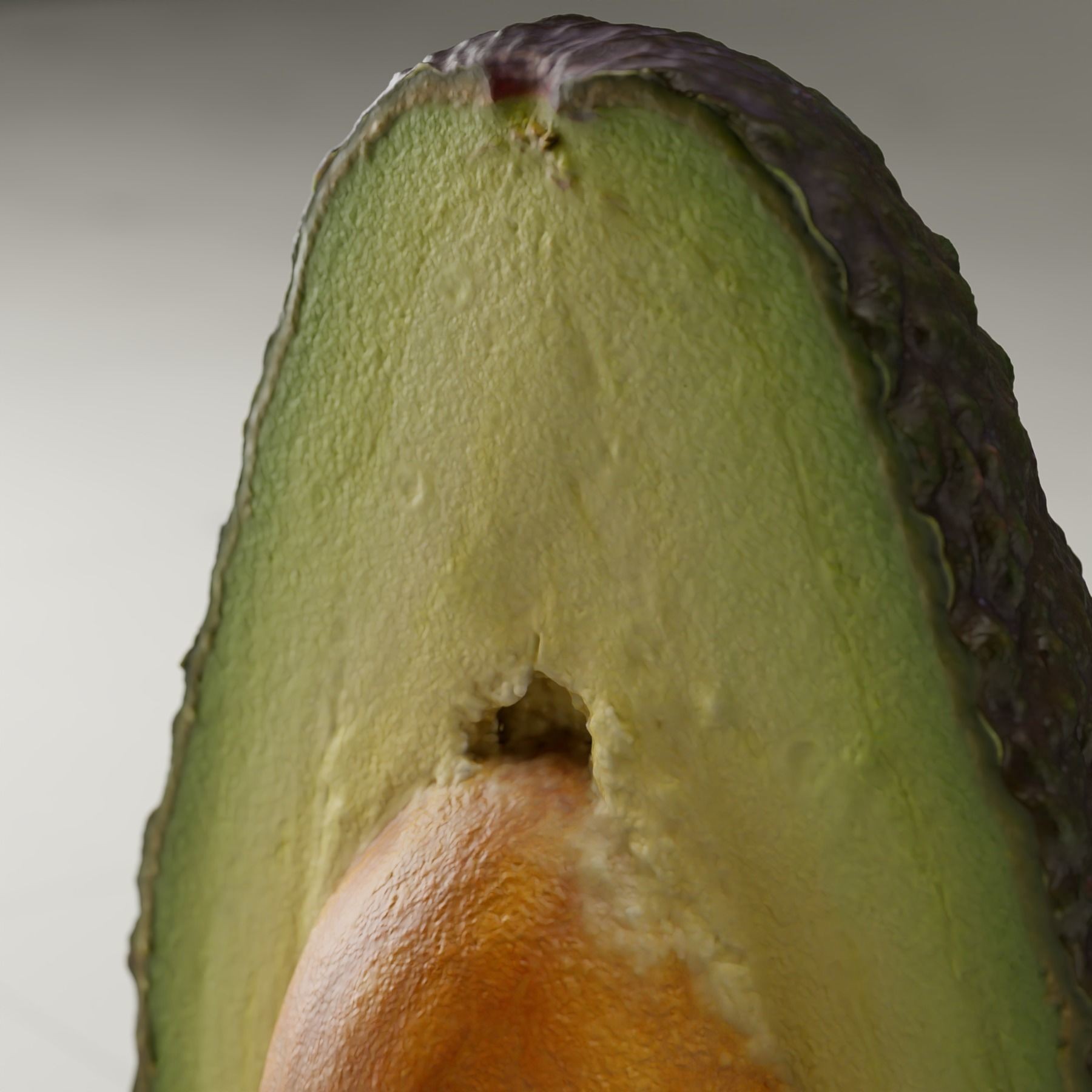 Detailed Avocado 3D Model – Photorealistic PBR Asset, Blender & FBX - View 8
