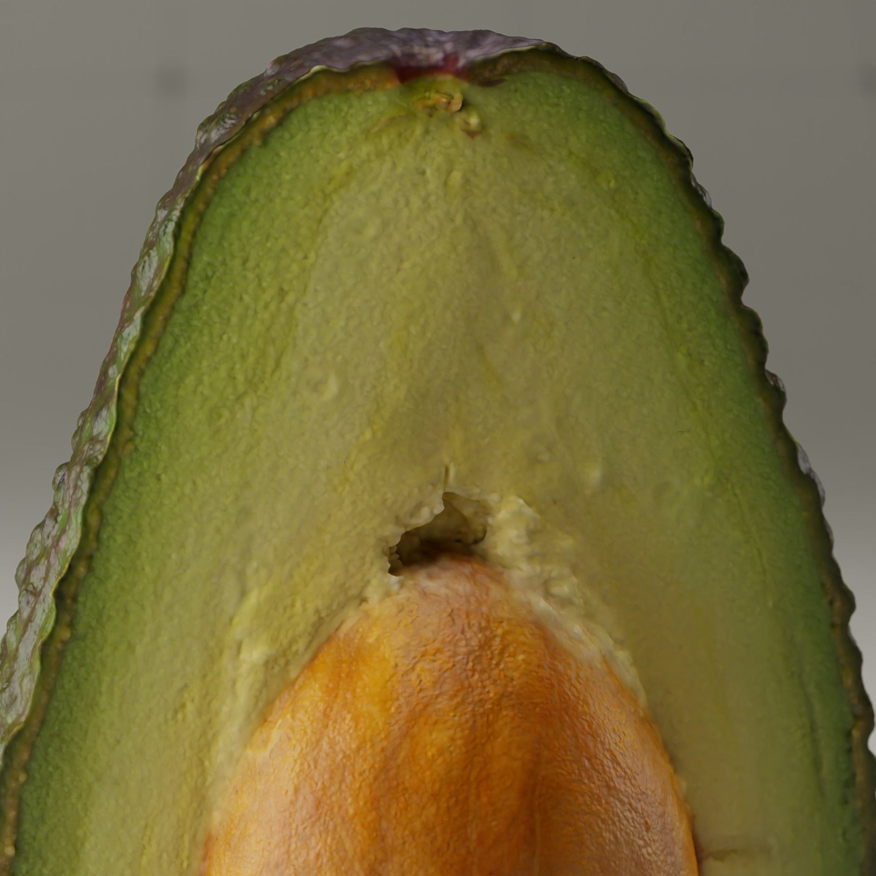 Detailed Avocado 3D Model – Photorealistic PBR Asset, Blender & FBX - View 9
