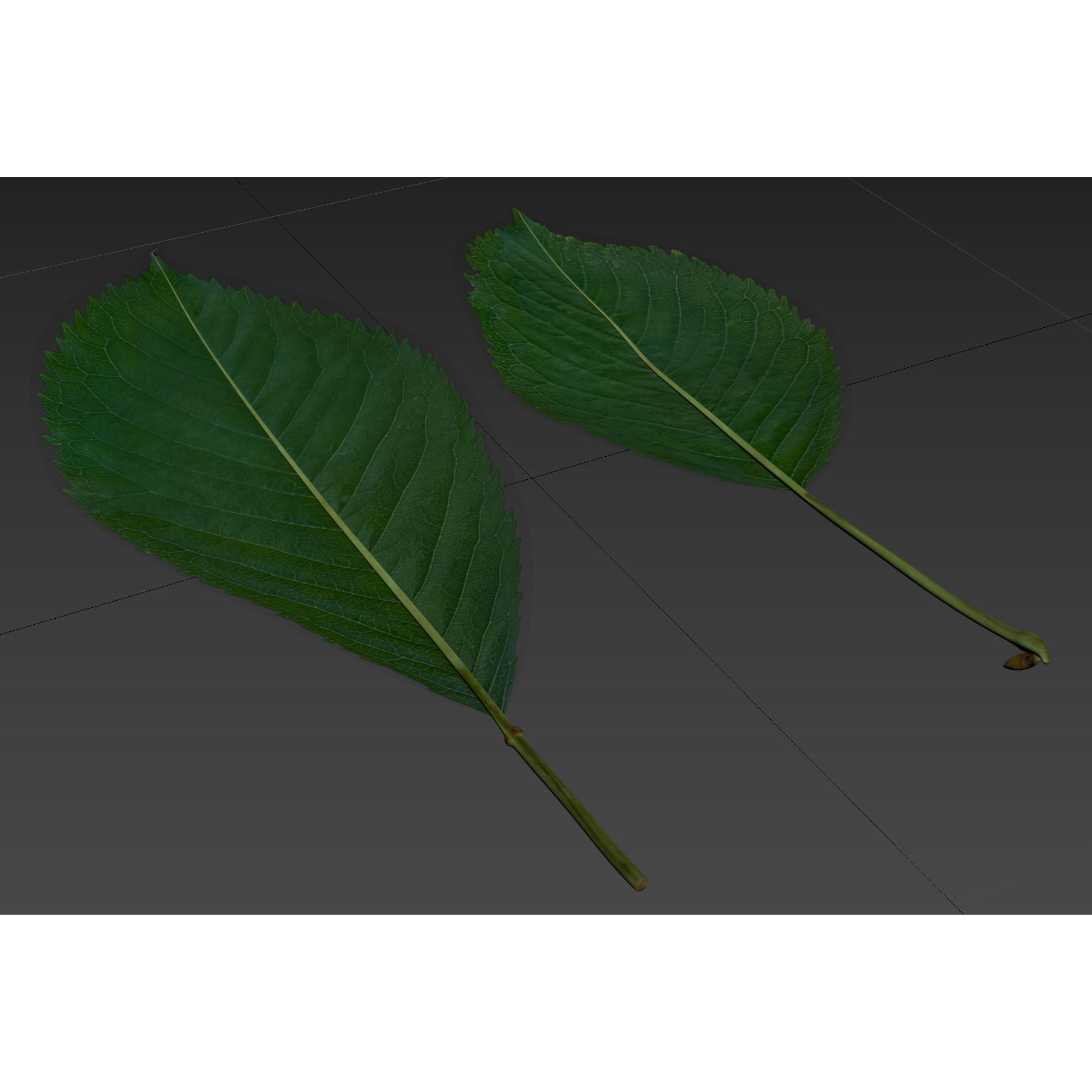 Wet Cherries 3D Model – Realistic High Poly Fruit Asset, FBX, OBJ