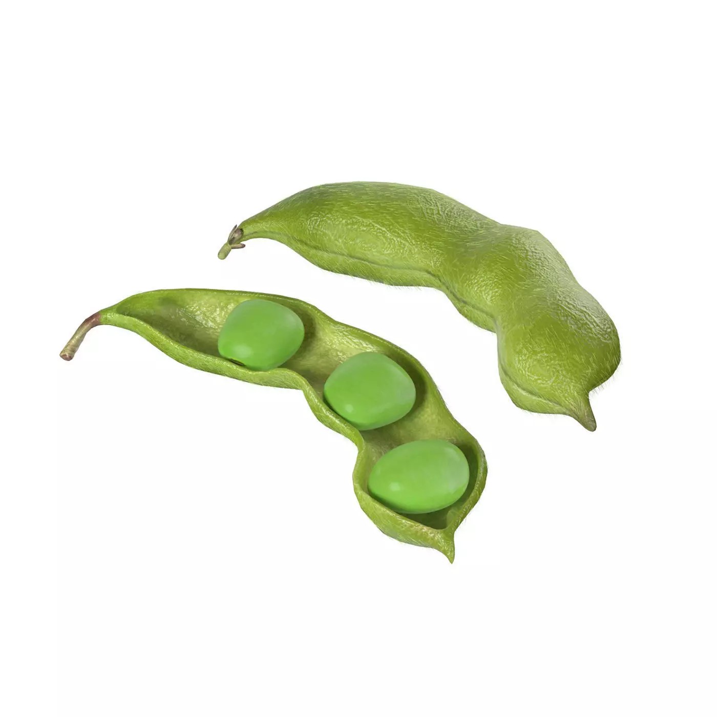 Soybean Green Pod 3D Model – Low Poly Game Asset, Blender, FBX, OBJ - View 2