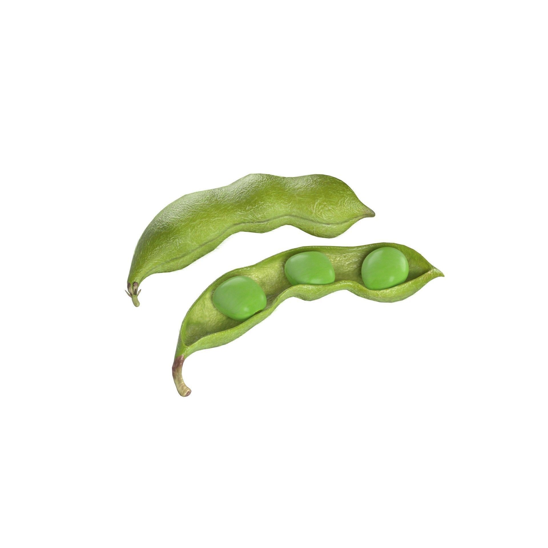 Soybean Green Pod 3D Model – Low Poly Game Asset, Blender, FBX, OBJ - View 3