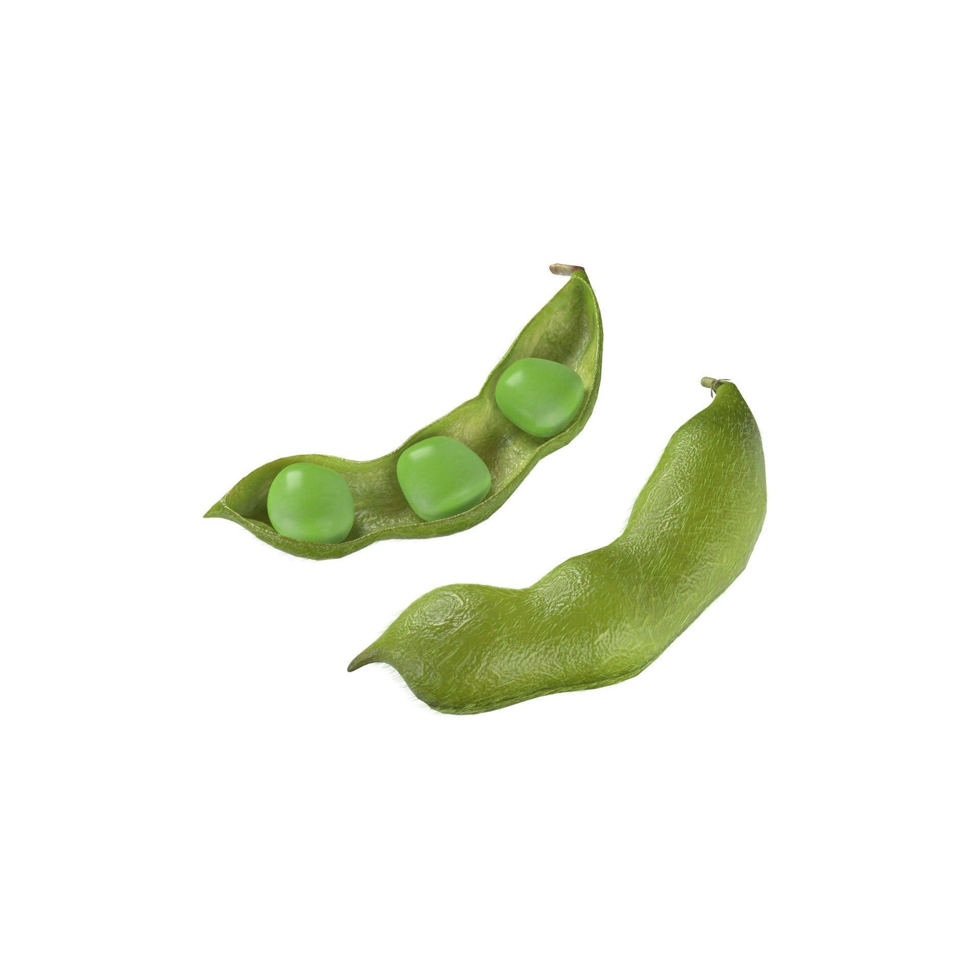 Soybean Green Pod 3D Model – Low Poly Game Asset, Blender, FBX, OBJ - View 5