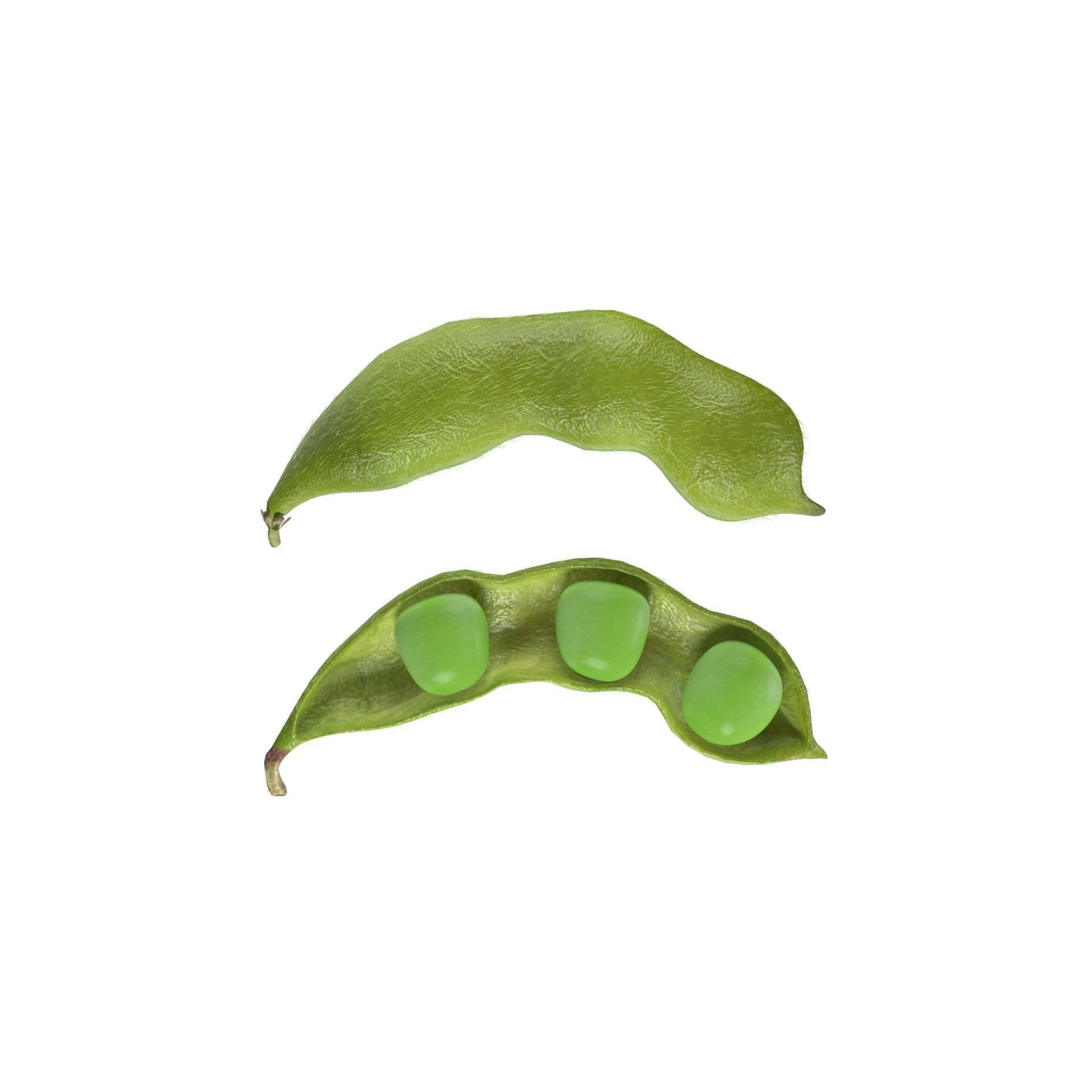 Soybean Green Pod 3D Model – Low Poly Game Asset, Blender, FBX, OBJ - View 6