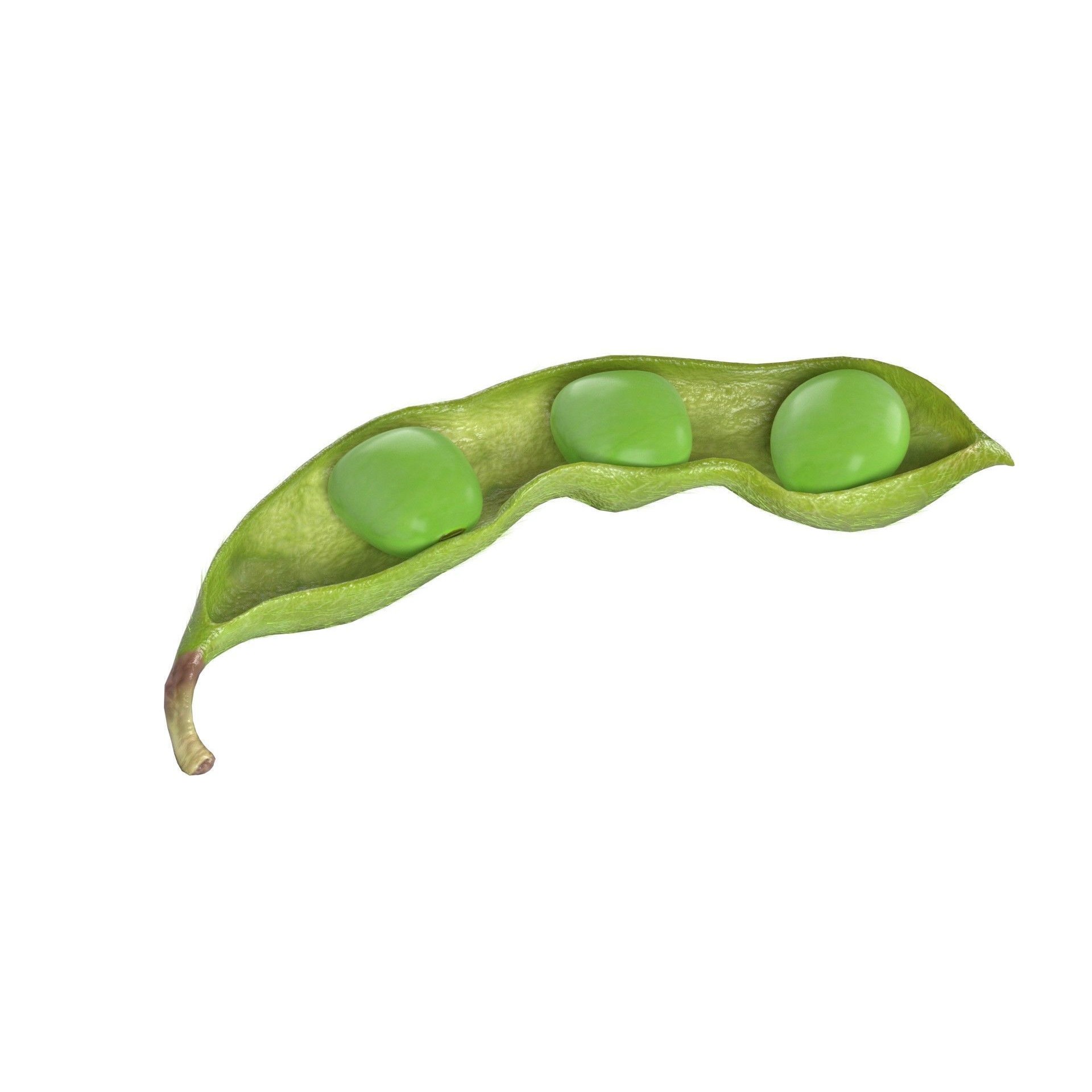 Soybean Green Pod 3D Model – Low Poly Game Asset, Blender, FBX, OBJ - View 7