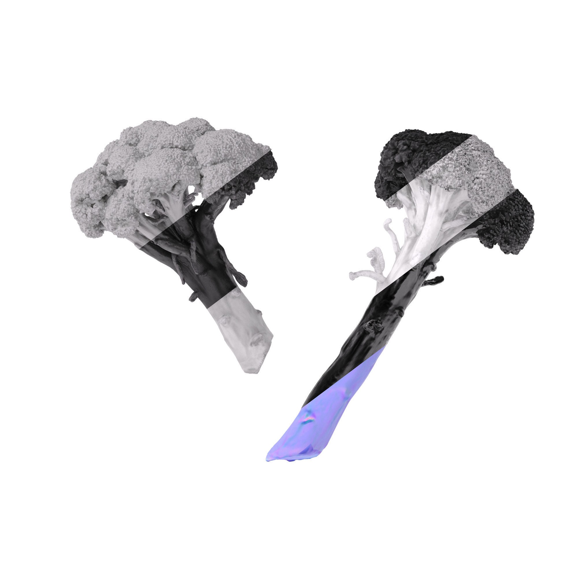 Broccoli Bunch 3D Model – High Poly Photogrammetry Asset, FBX/OBJ