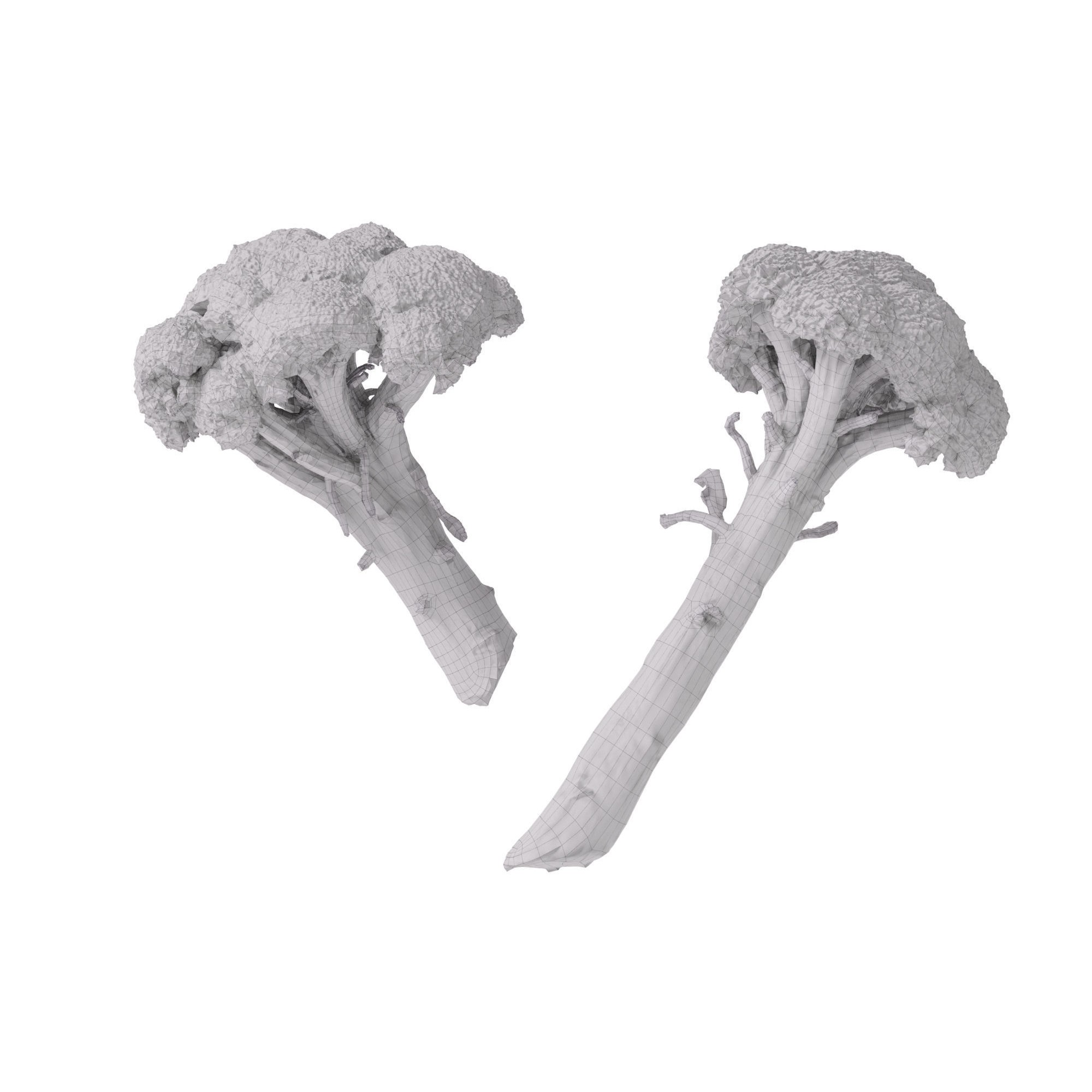Broccoli Bunch 3D Model – High Poly Photogrammetry Asset, FBX/OBJ - View 12