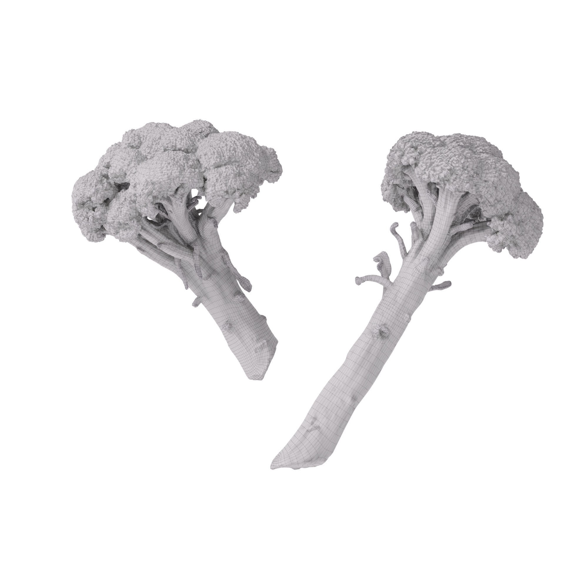 Broccoli Bunch 3D Model – High Poly Photogrammetry Asset, FBX/OBJ - View 13