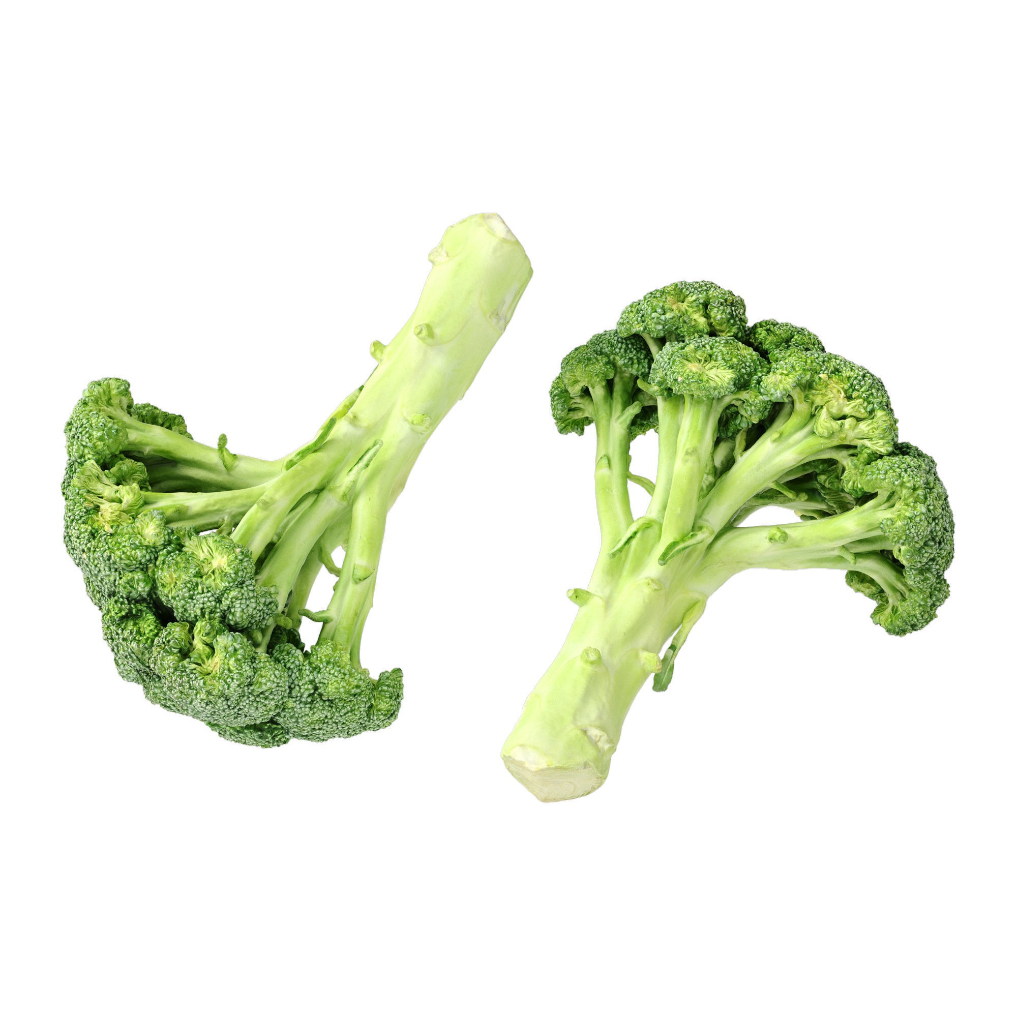 Broccoli Bunch 3D Model – High Poly Photogrammetry Asset, FBX/OBJ - View 7