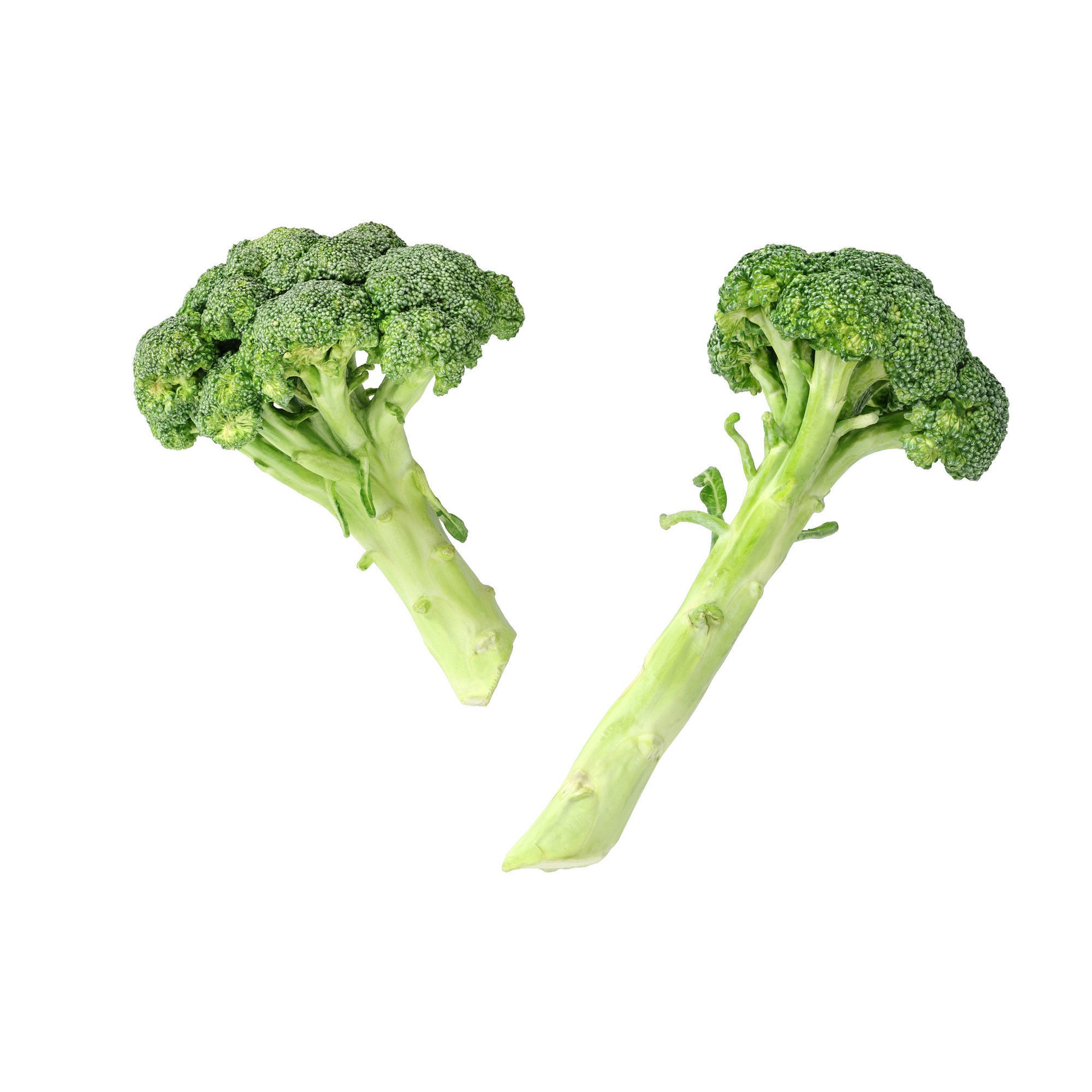 Broccoli Bunch 3D Model – High Poly Photogrammetry Asset, FBX/OBJ - View 8