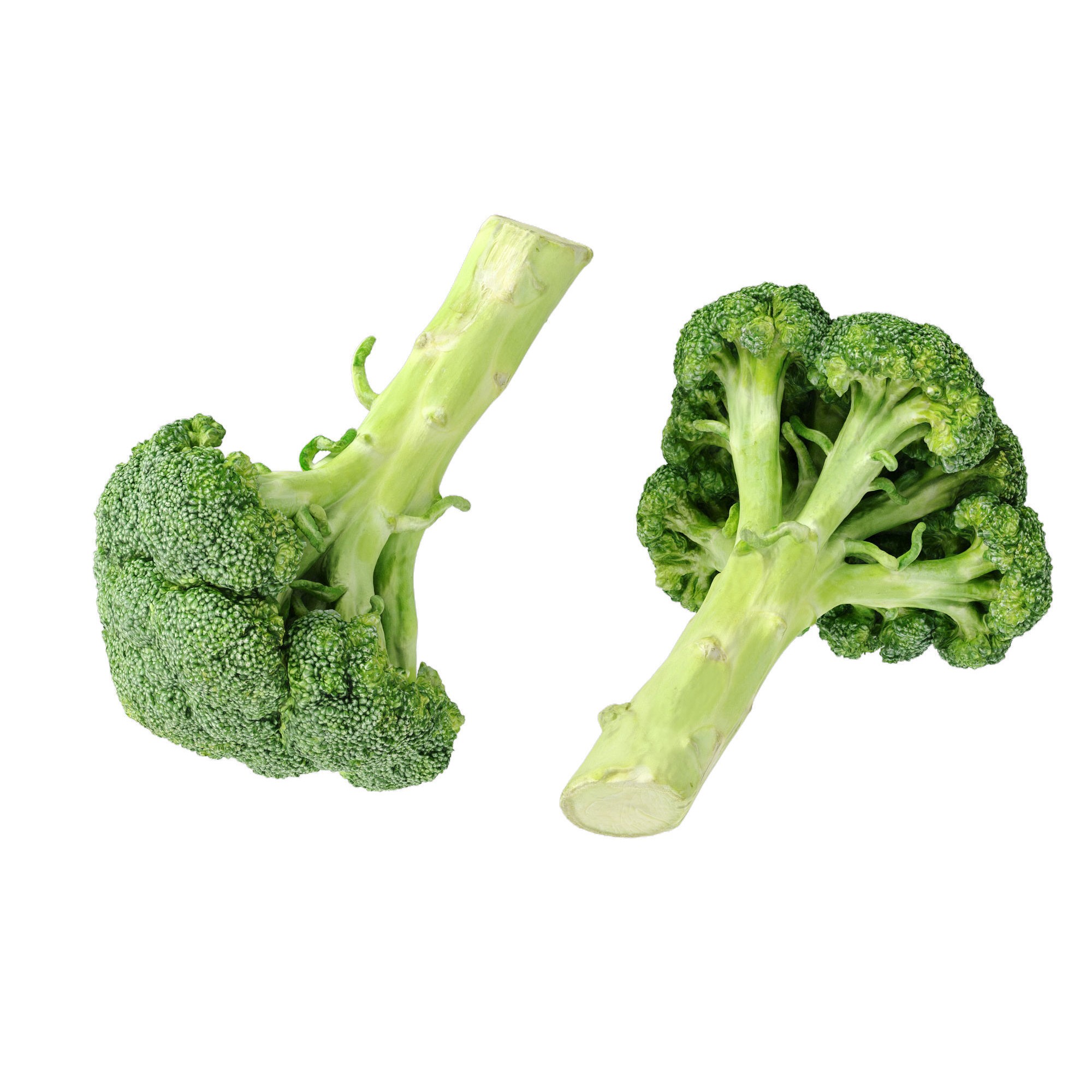 Broccoli Bunch 3D Model – High Poly Photogrammetry Asset, FBX/OBJ - View 9