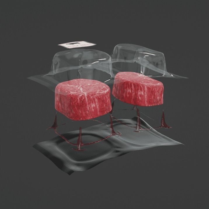Angus Beef Vacuum 3D Model – High-Quality PBR Asset for Rendering - View 8