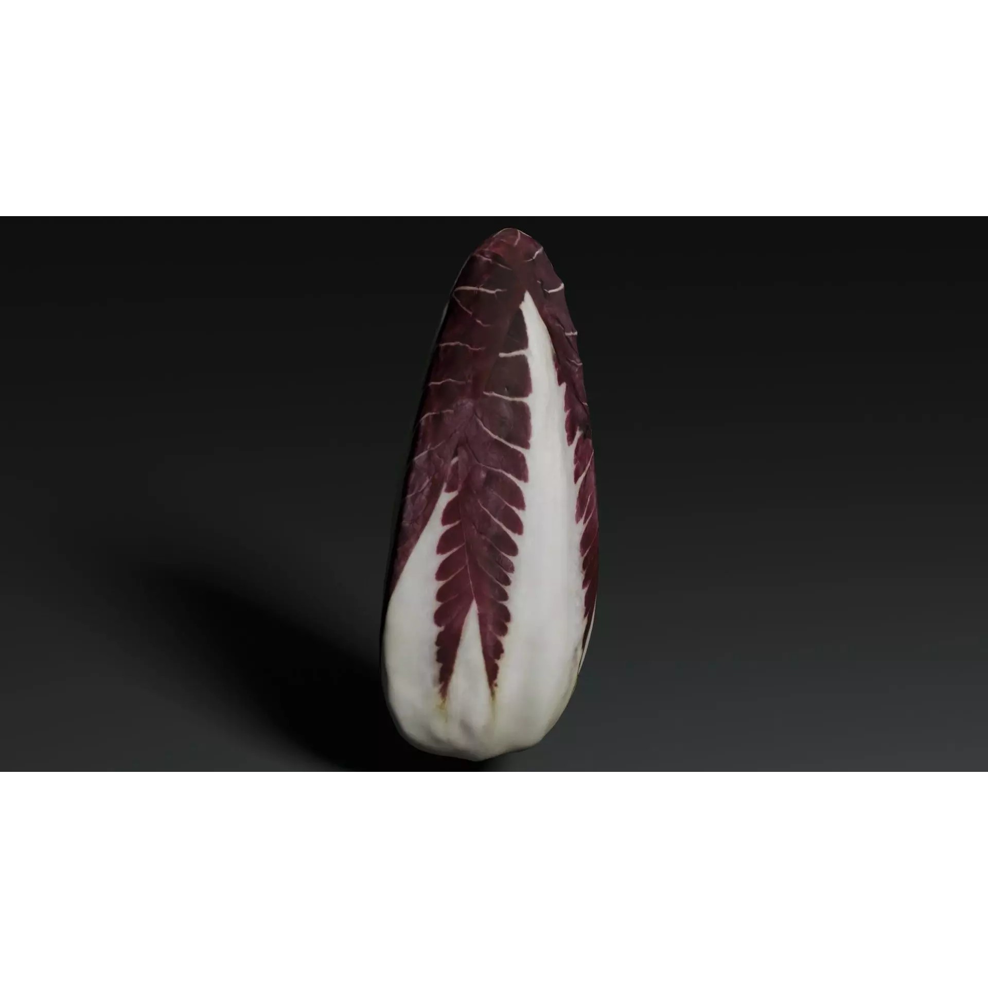 Radicchio 3D Model – Realistic Vegetable Asset, PBR Textures, Blender, FBX - View 10