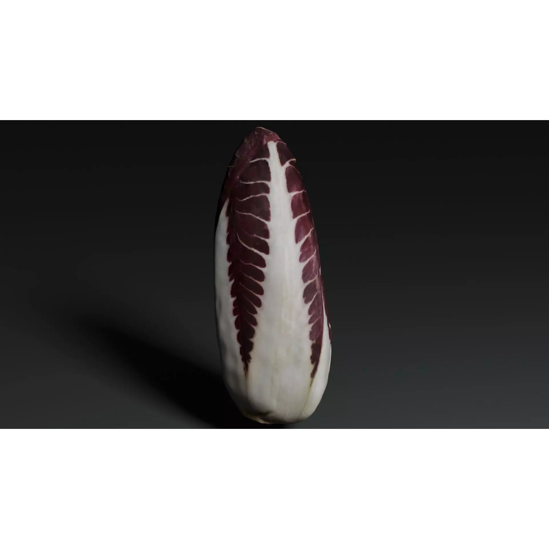 Radicchio 3D Model – Realistic Vegetable Asset, PBR Textures, Blender, FBX - View 11