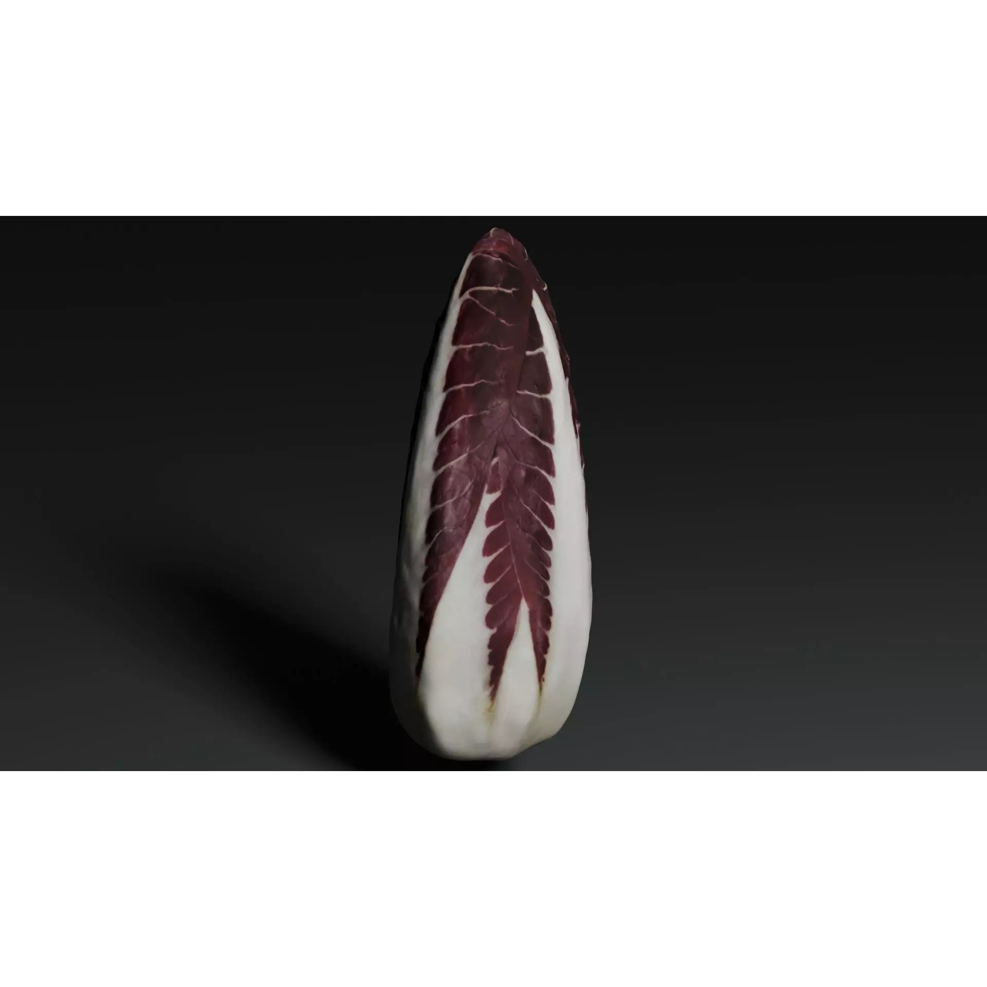 Radicchio 3D Model – Realistic Vegetable Asset, PBR Textures, Blender, FBX - View 12
