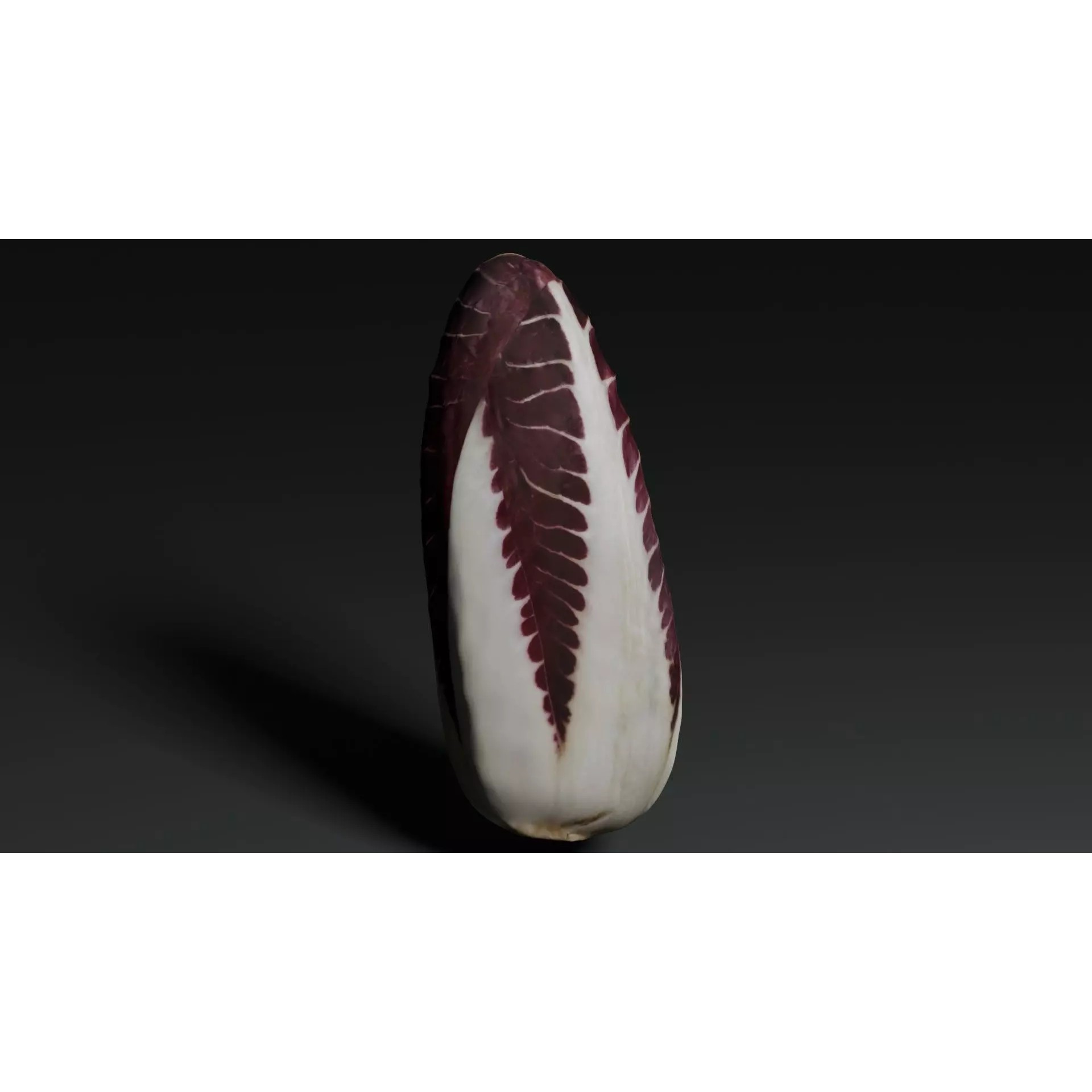 Radicchio 3D Model – Realistic Vegetable Asset, PBR Textures, Blender, FBX - View 13