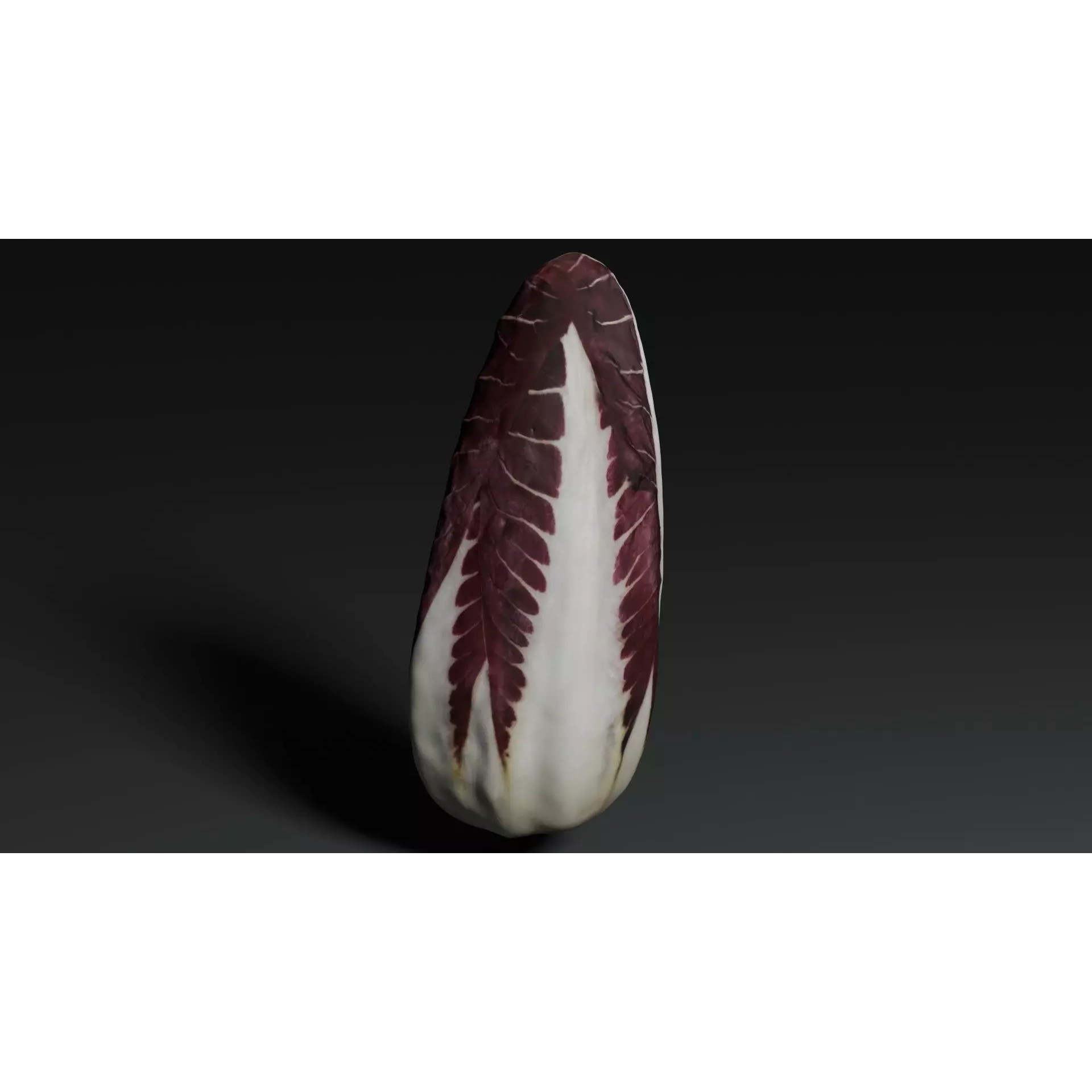 Radicchio 3D Model – Realistic Vegetable Asset, PBR Textures, Blender, FBX - View 15