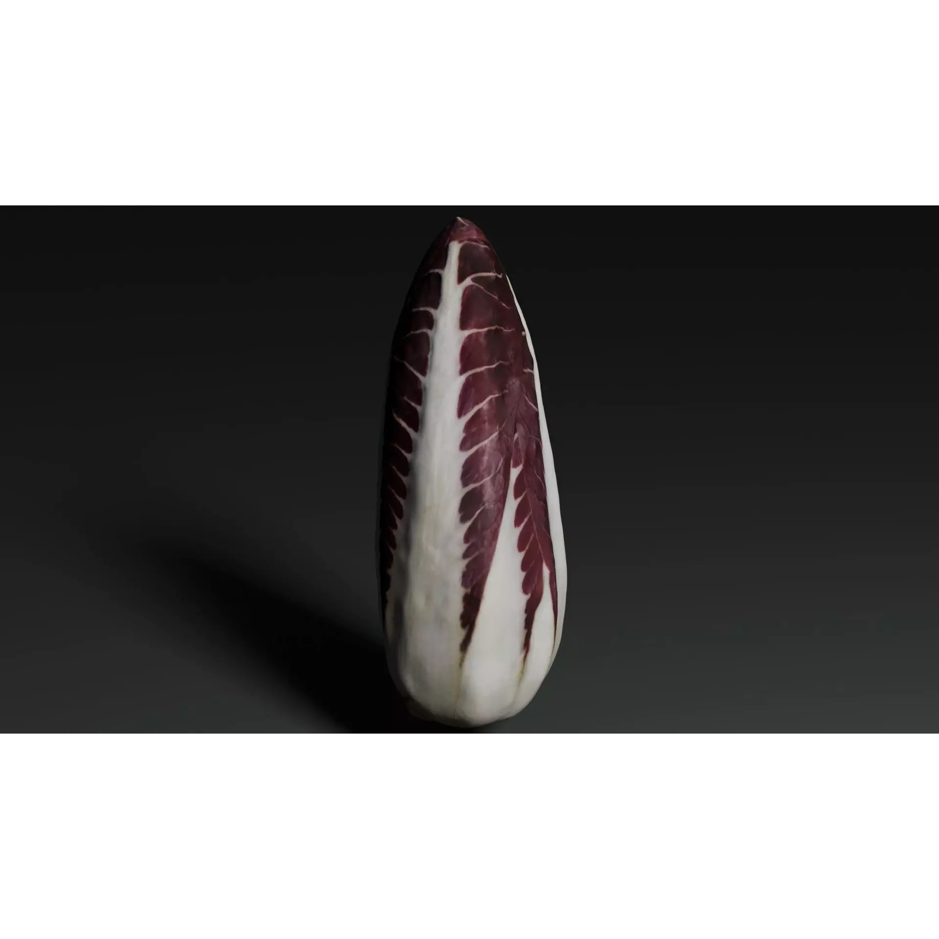 Radicchio 3D Model – Realistic Vegetable Asset, PBR Textures, Blender, FBX - View 2