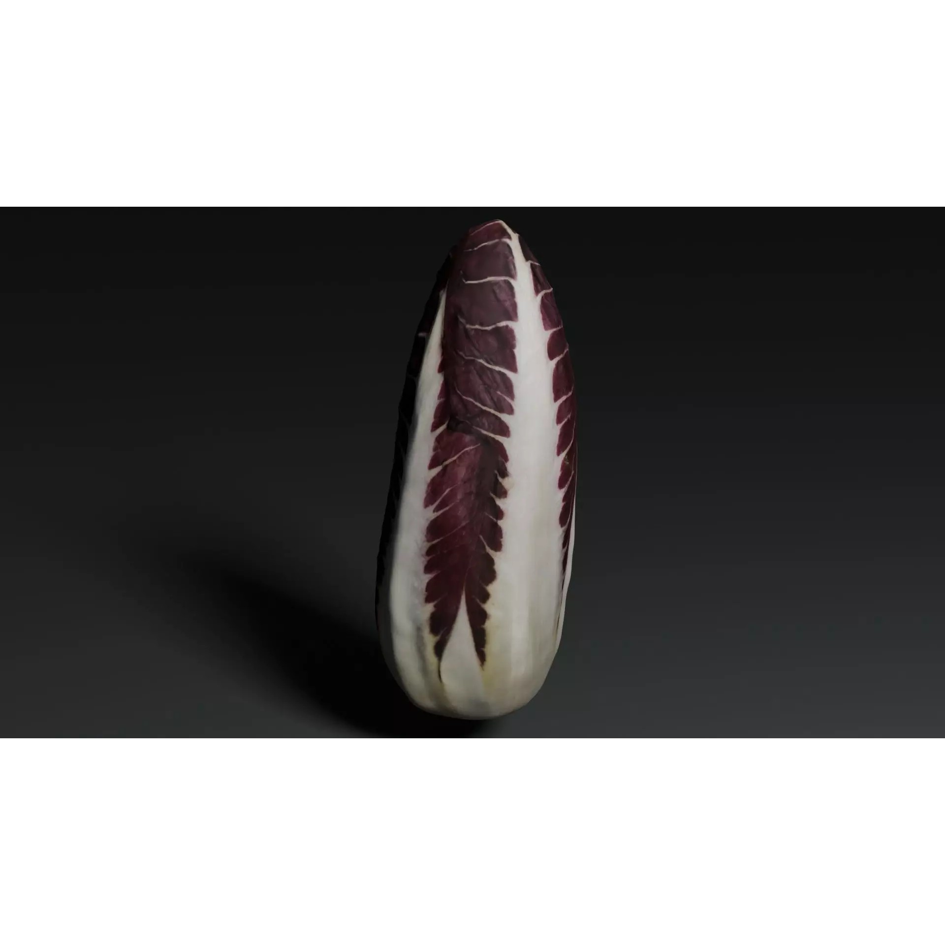 Radicchio 3D Model – Realistic Vegetable Asset, PBR Textures, Blender, FBX - View 3
