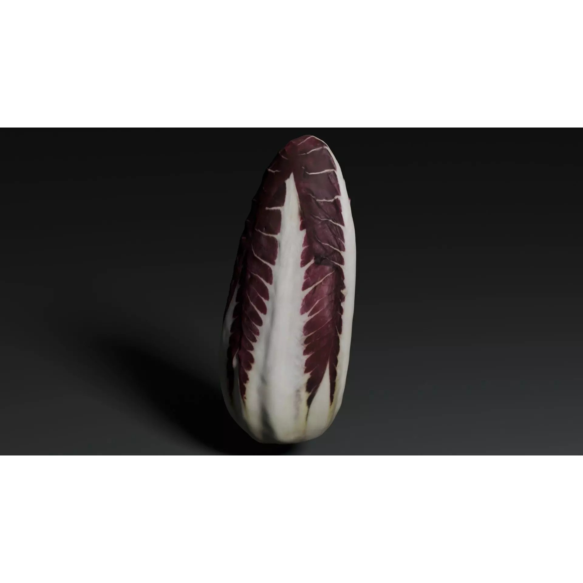 Radicchio 3D Model – Realistic Vegetable Asset, PBR Textures, Blender, FBX - View 4