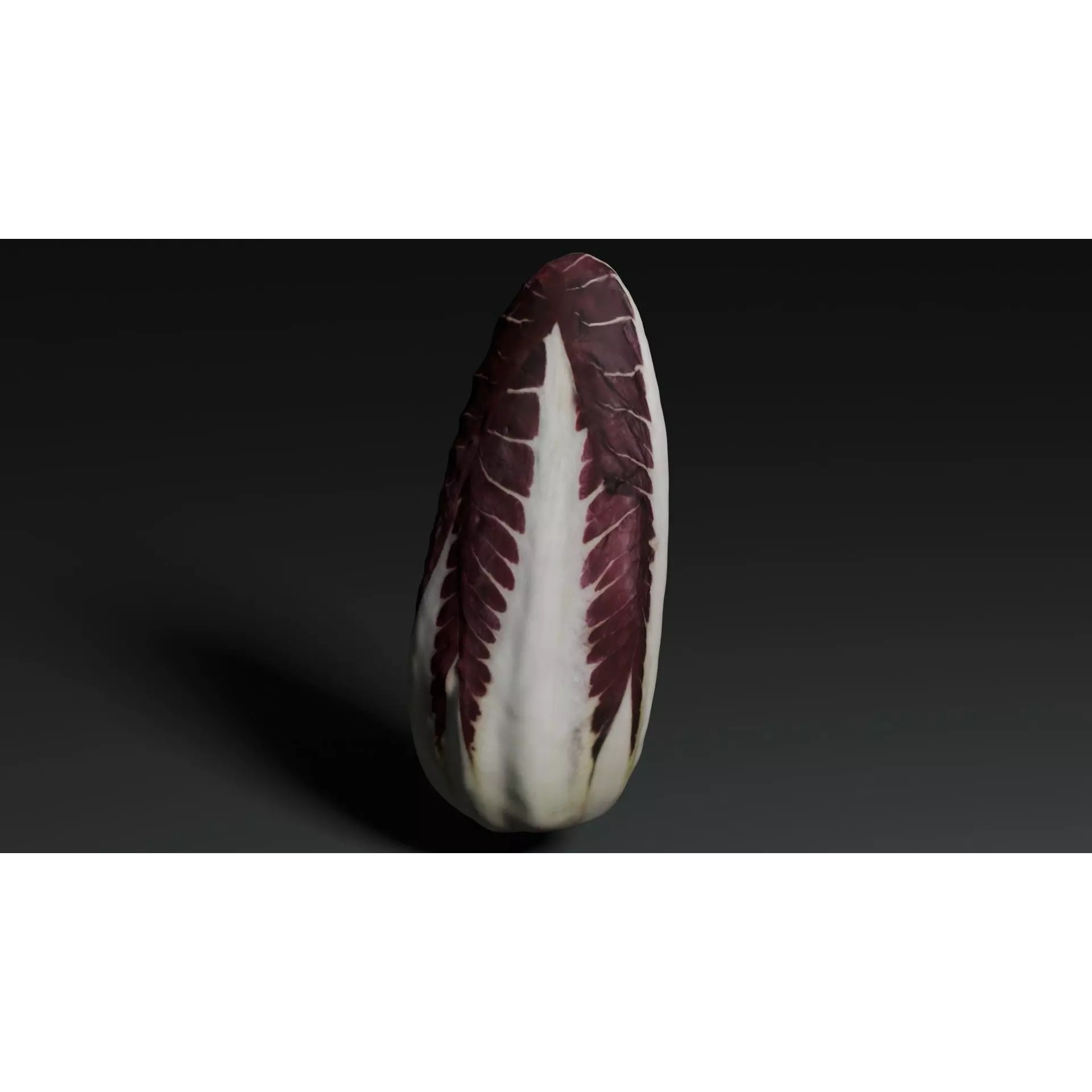 Radicchio 3D Model – Realistic Vegetable Asset, PBR Textures, Blender, FBX - View 5